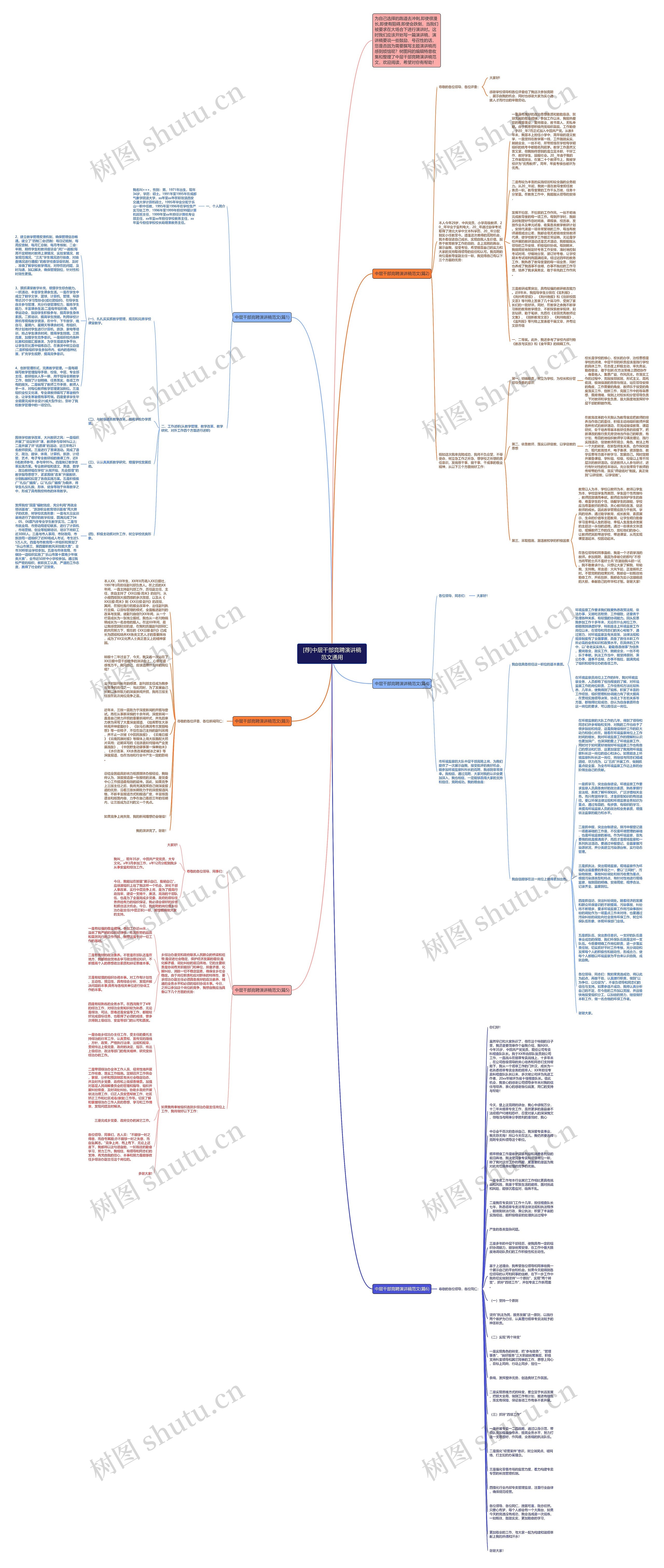 [荐]中层干部竞聘演讲稿范文通用思维导图