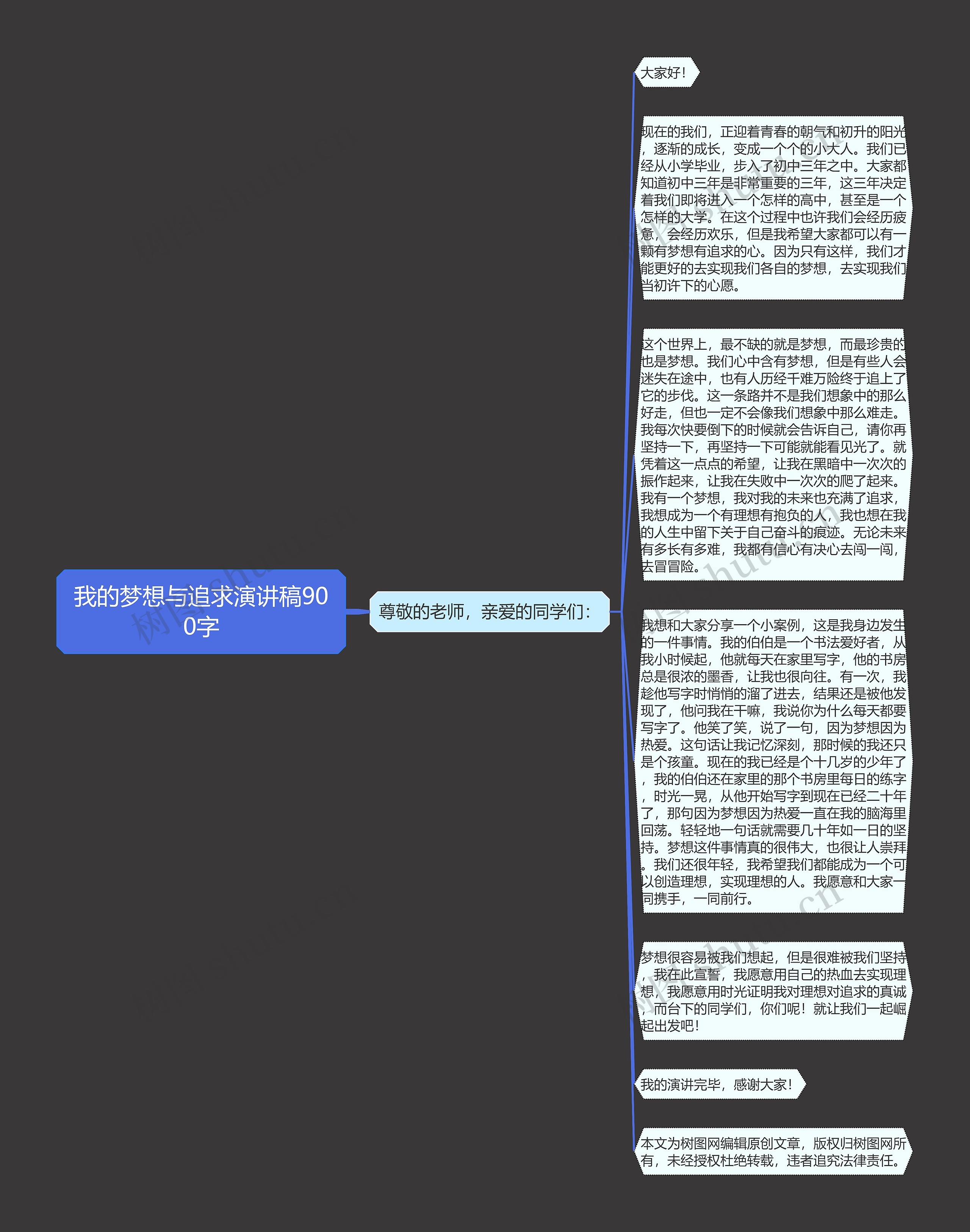 我的梦想与追求演讲稿900字