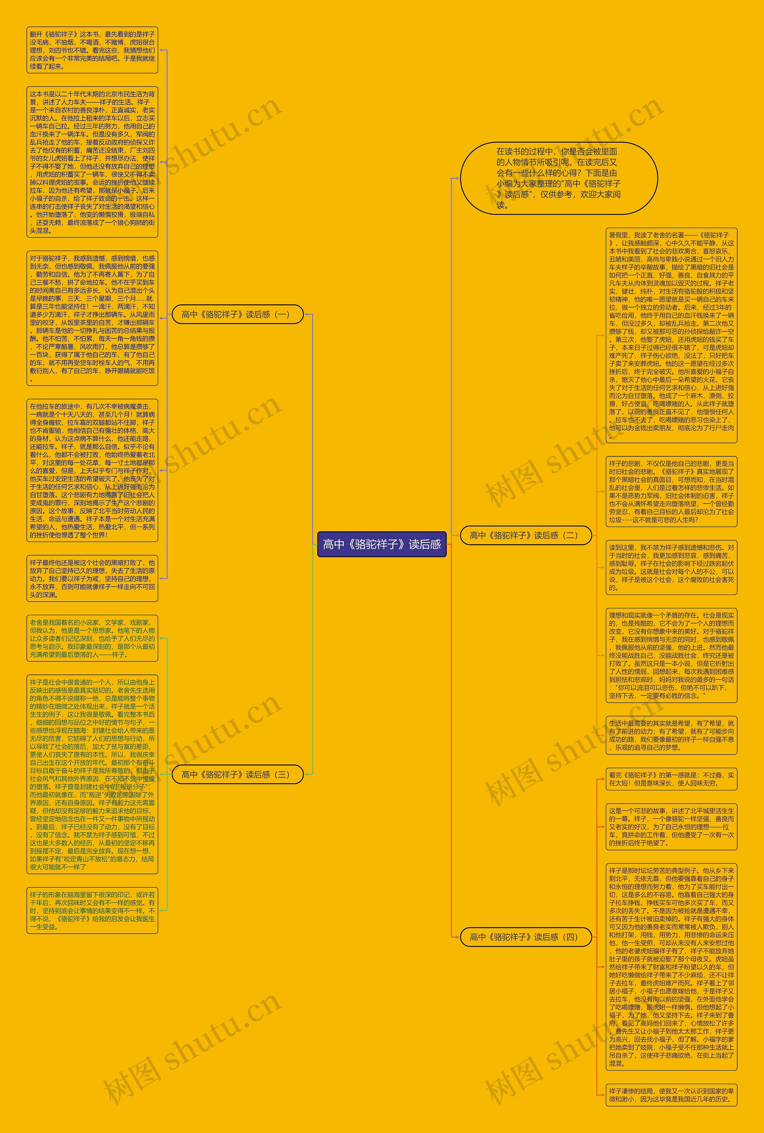 高中《骆驼祥子》读后感思维导图