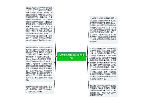 小学生新学期学习计划800字