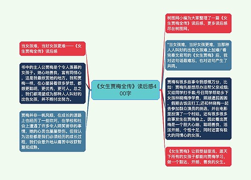 《女生贾梅全传》读后感400字