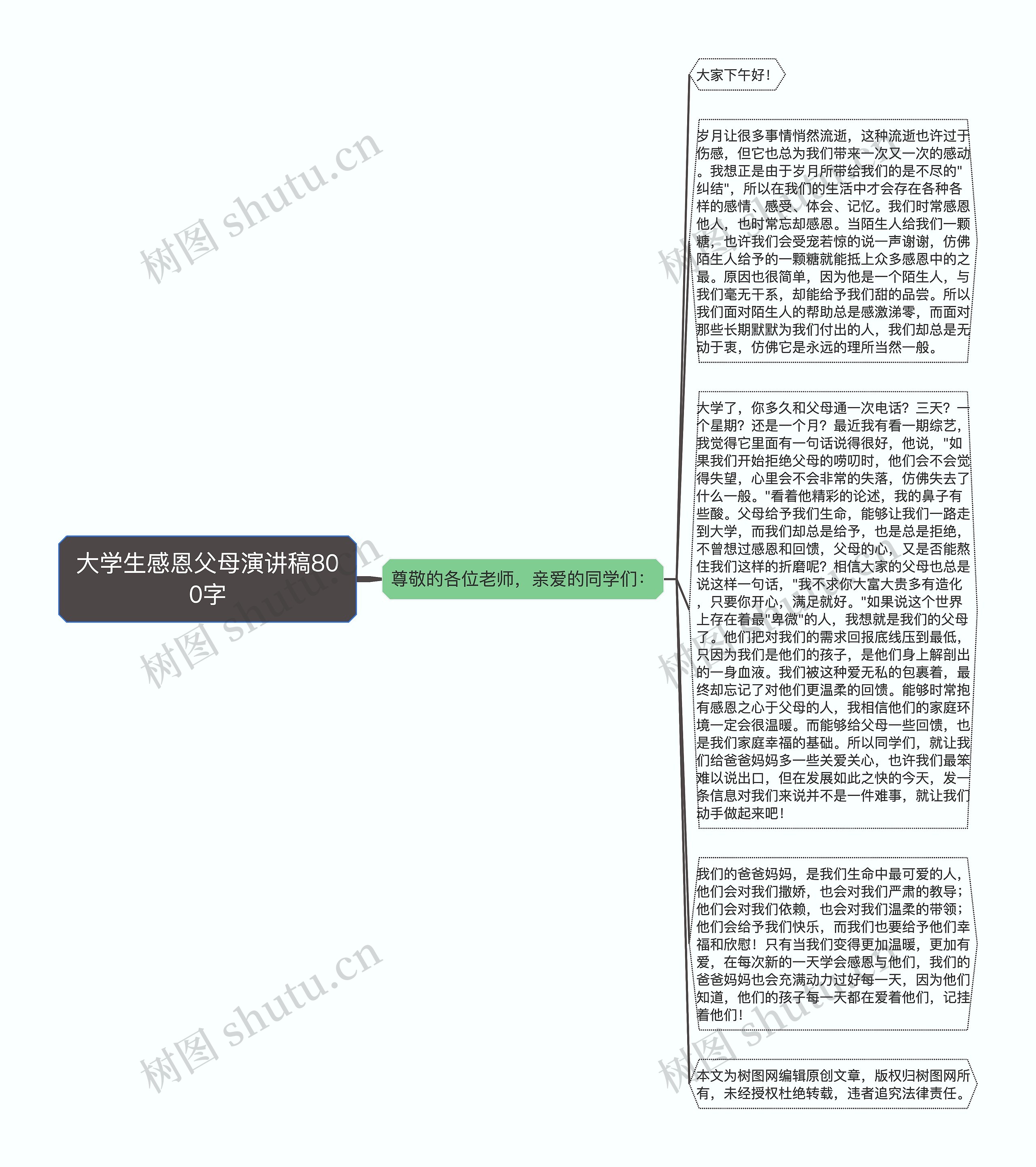 大学生感恩父母演讲稿800字思维导图