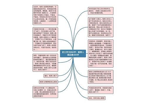 初三作文850字：稻草人读后感400字