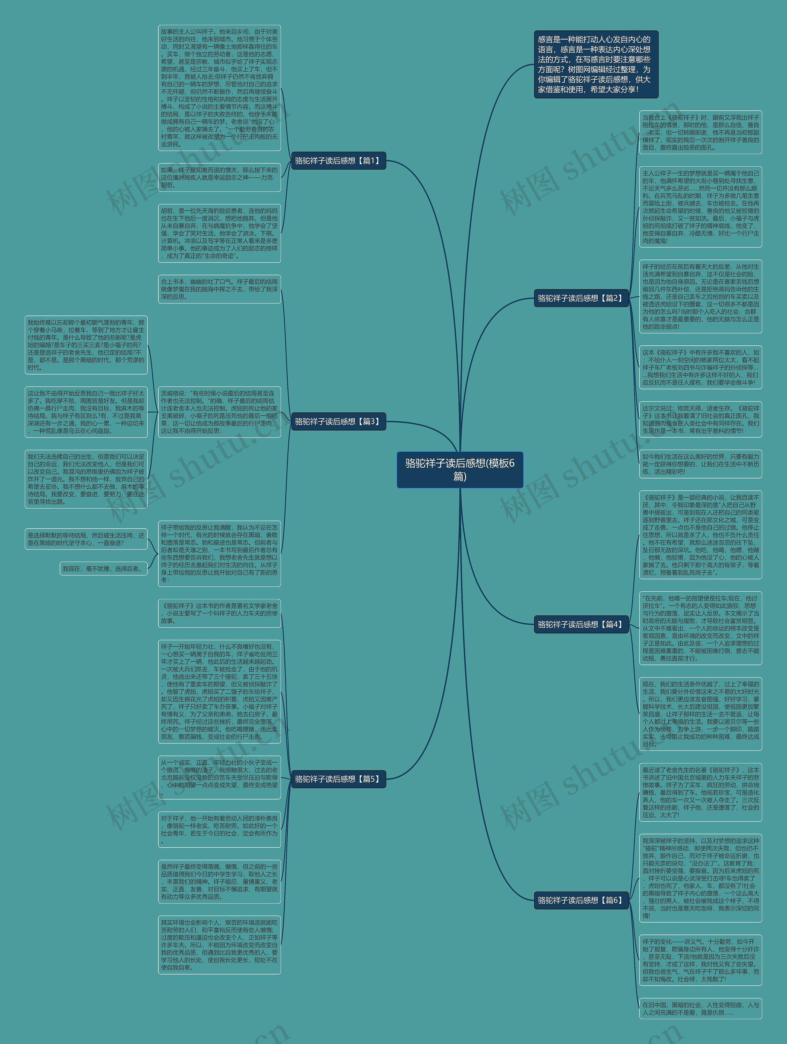 骆驼祥子读后感想(6篇)思维导图