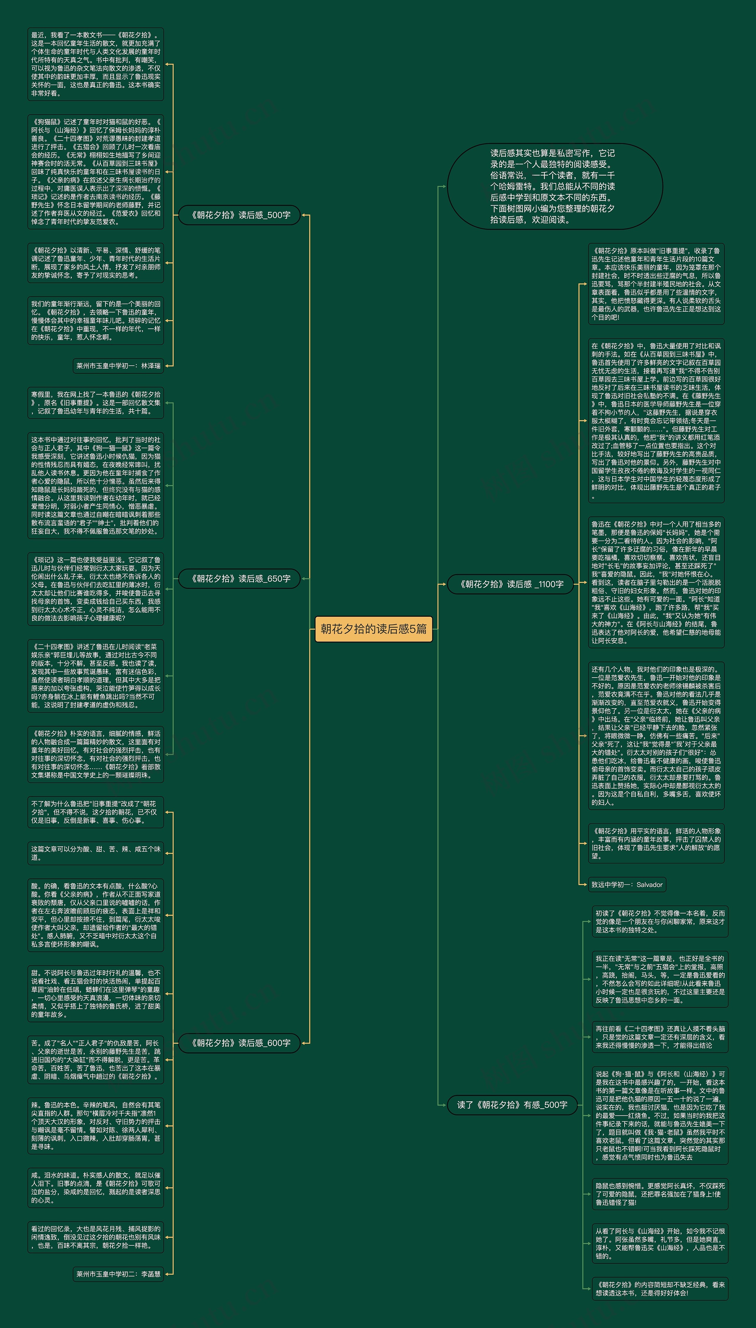 朝花夕拾的读后感5篇思维导图