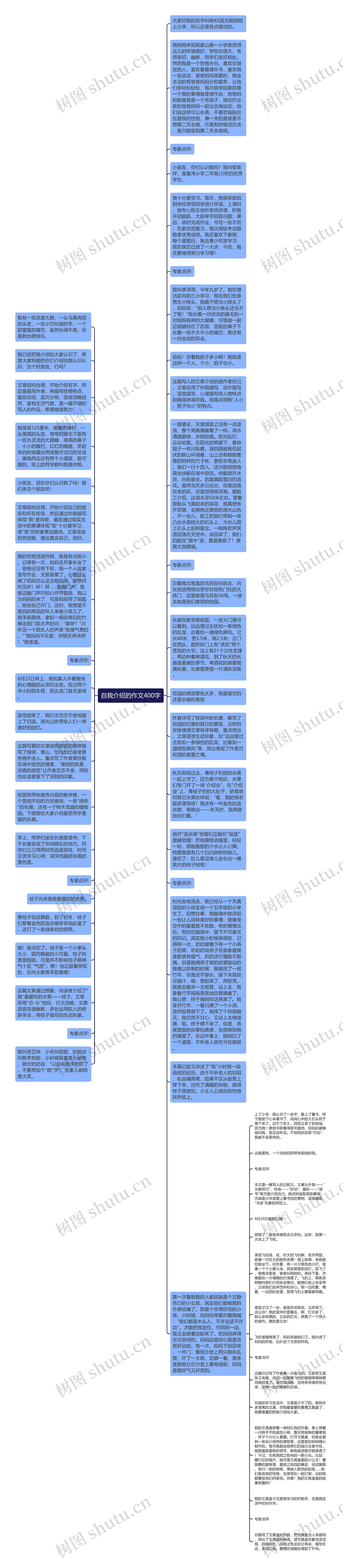 自我介绍的作文400字