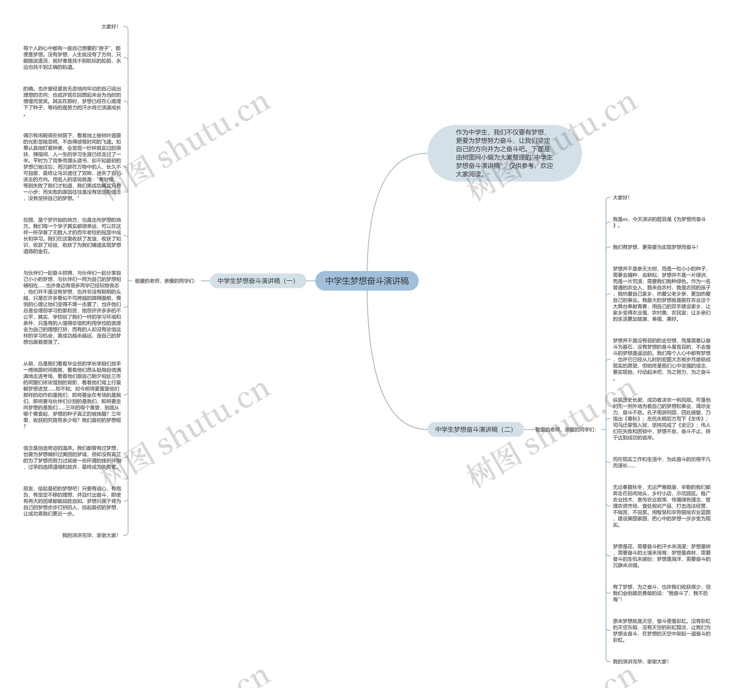 中学生梦想奋斗演讲稿思维导图