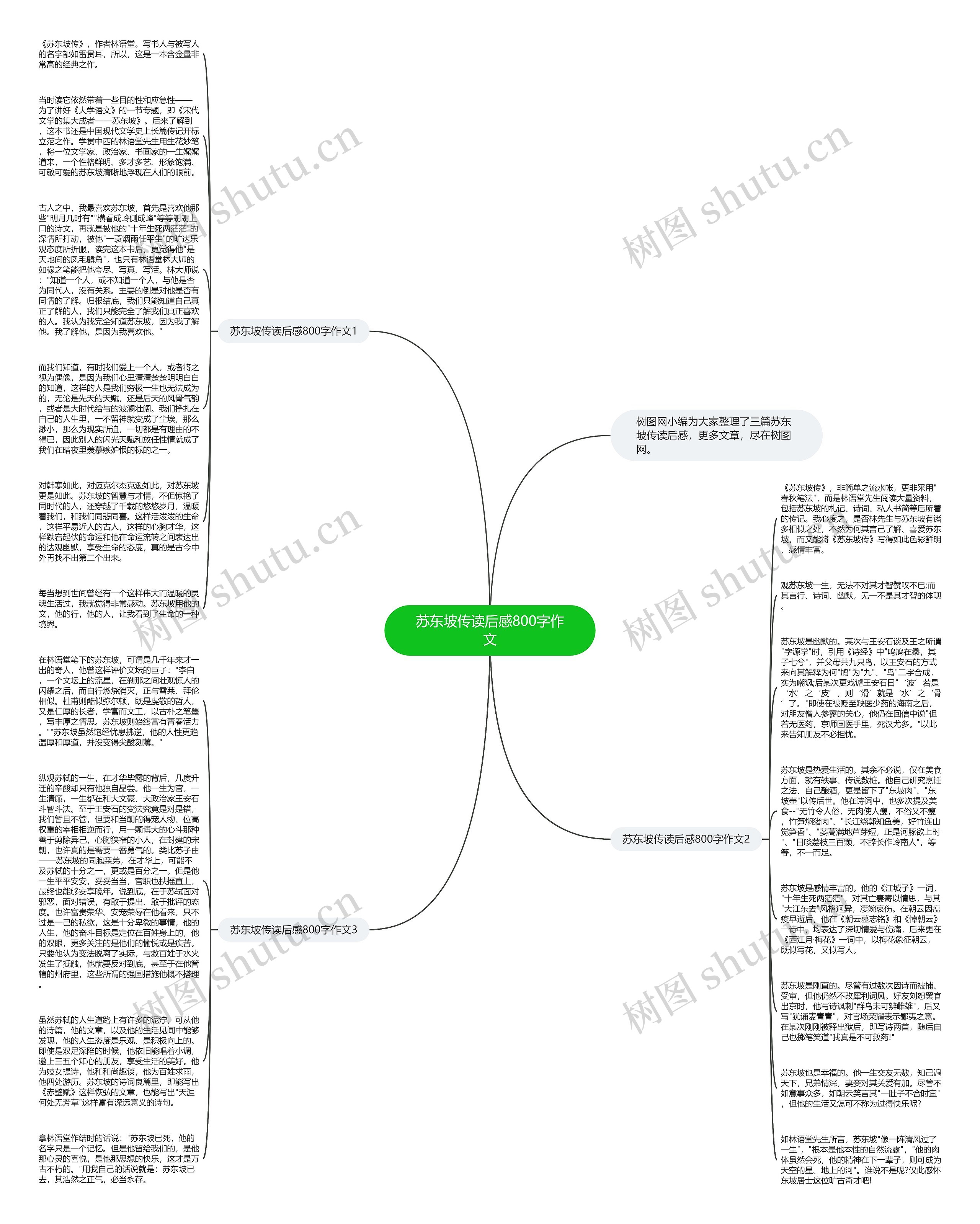 苏东坡传读后感800字作文思维导图