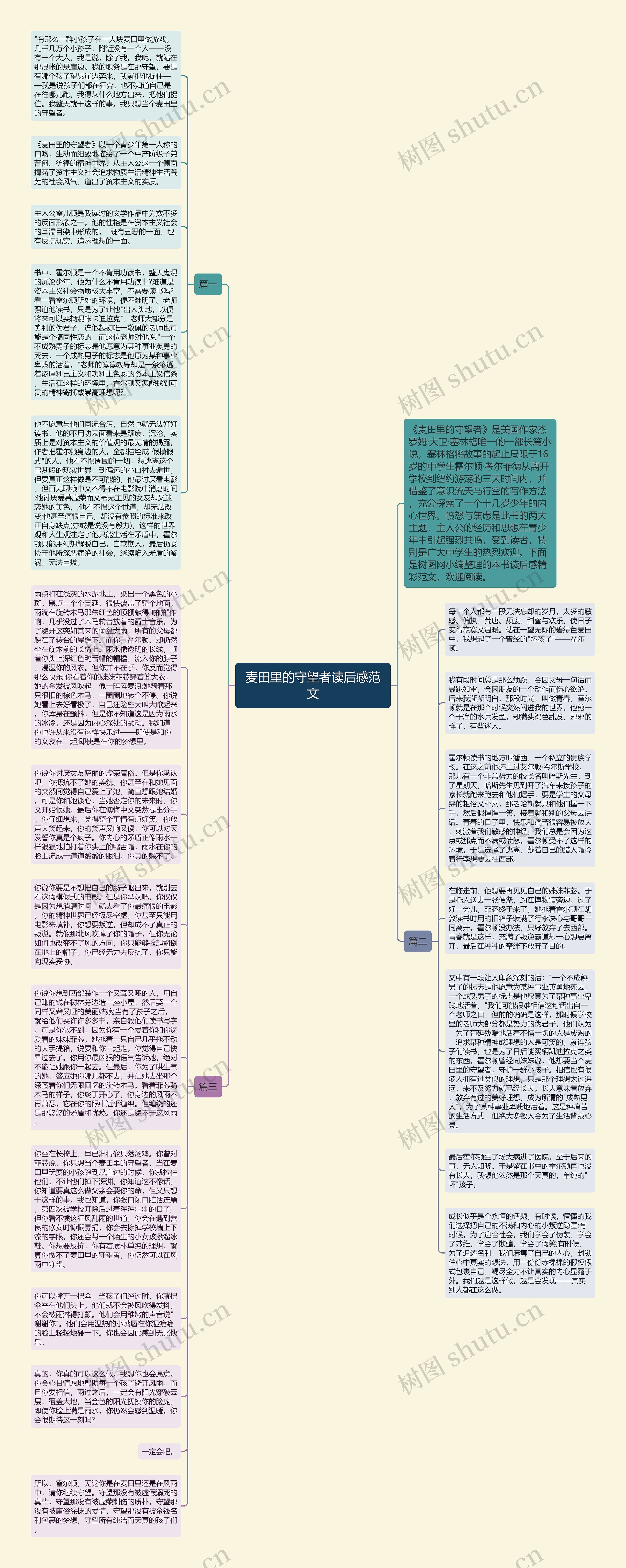 麦田里的守望者读后感范文思维导图