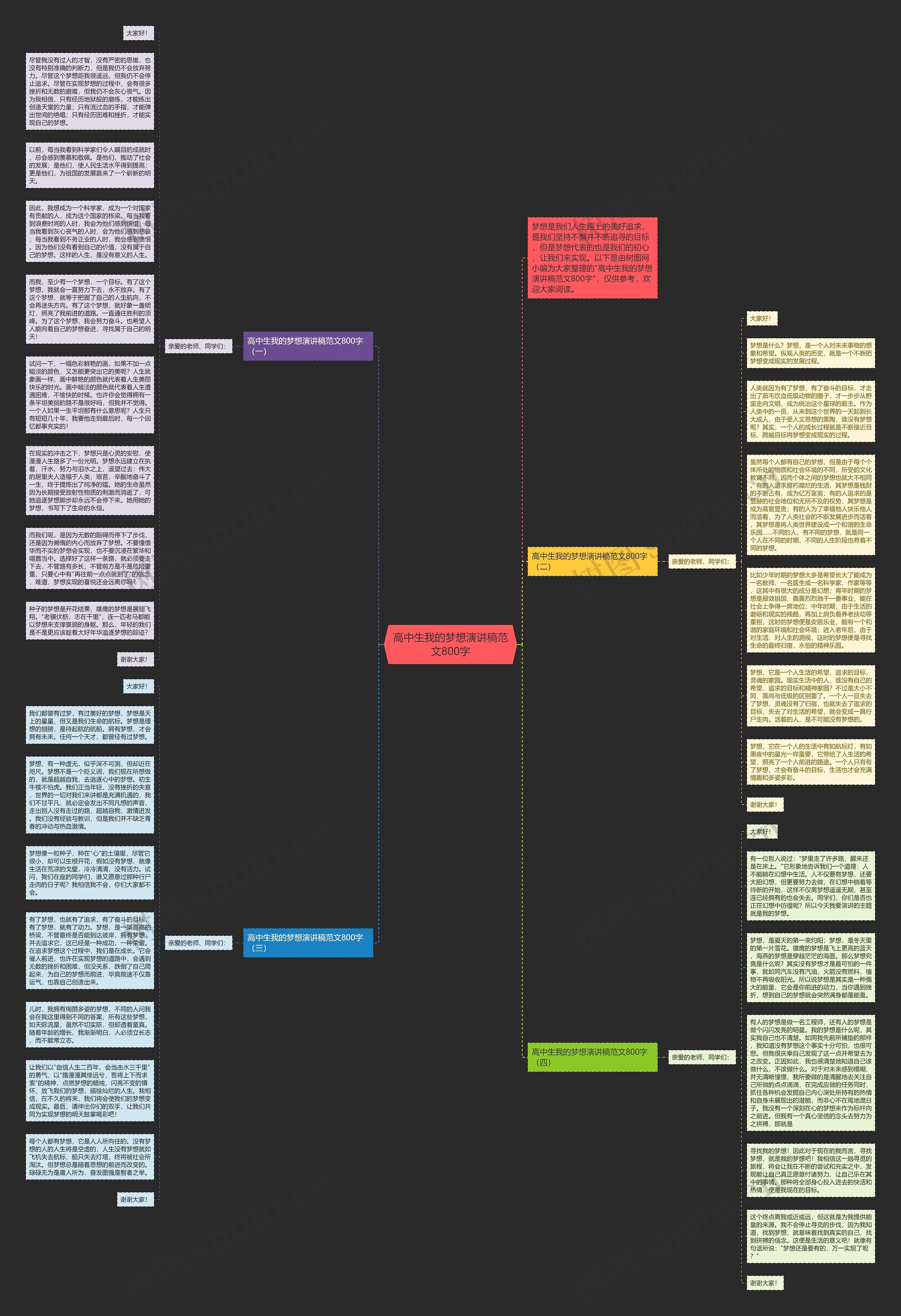 高中生我的梦想演讲稿范文800字思维导图