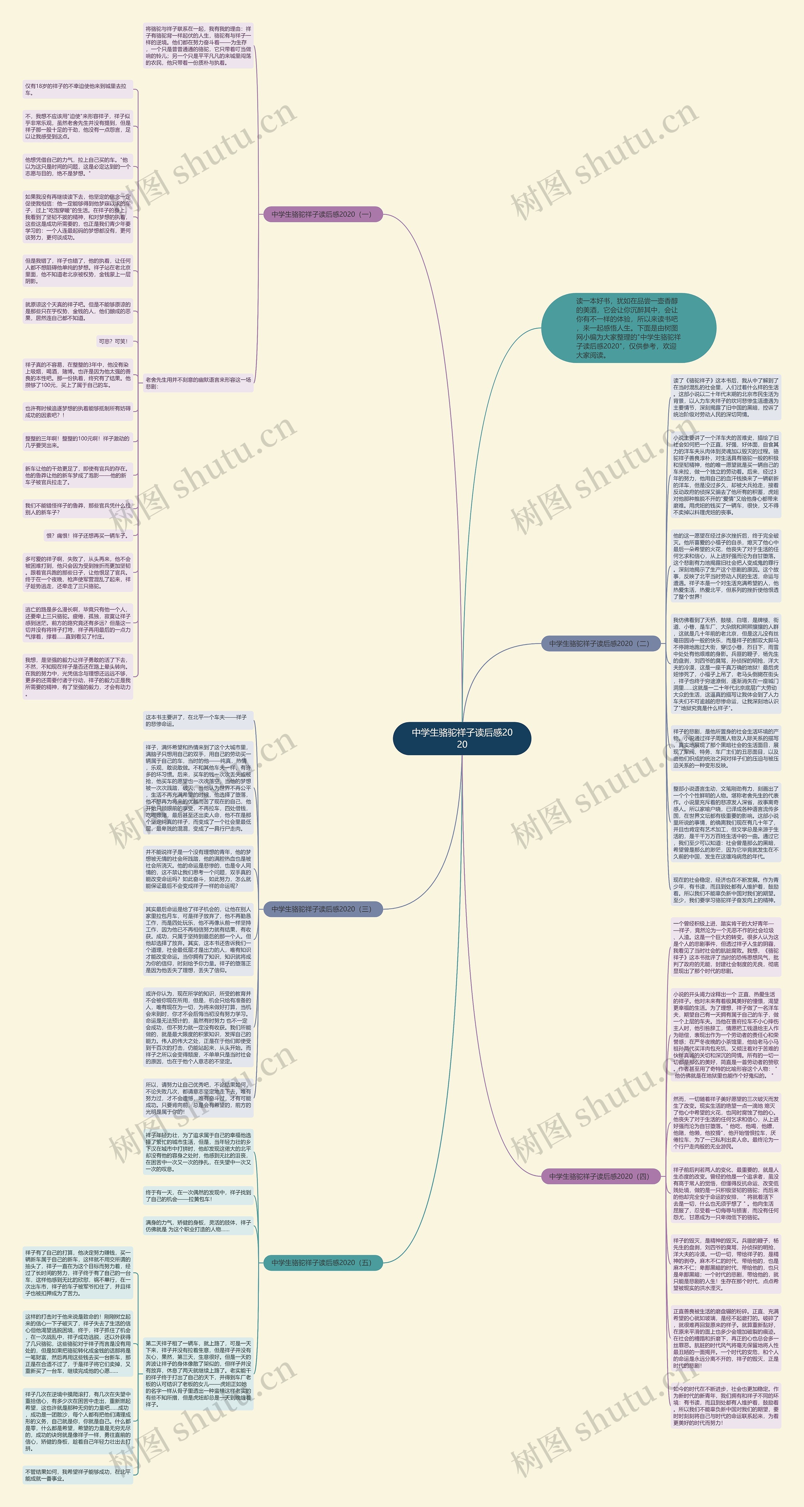 中学生骆驼祥子读后感2020思维导图