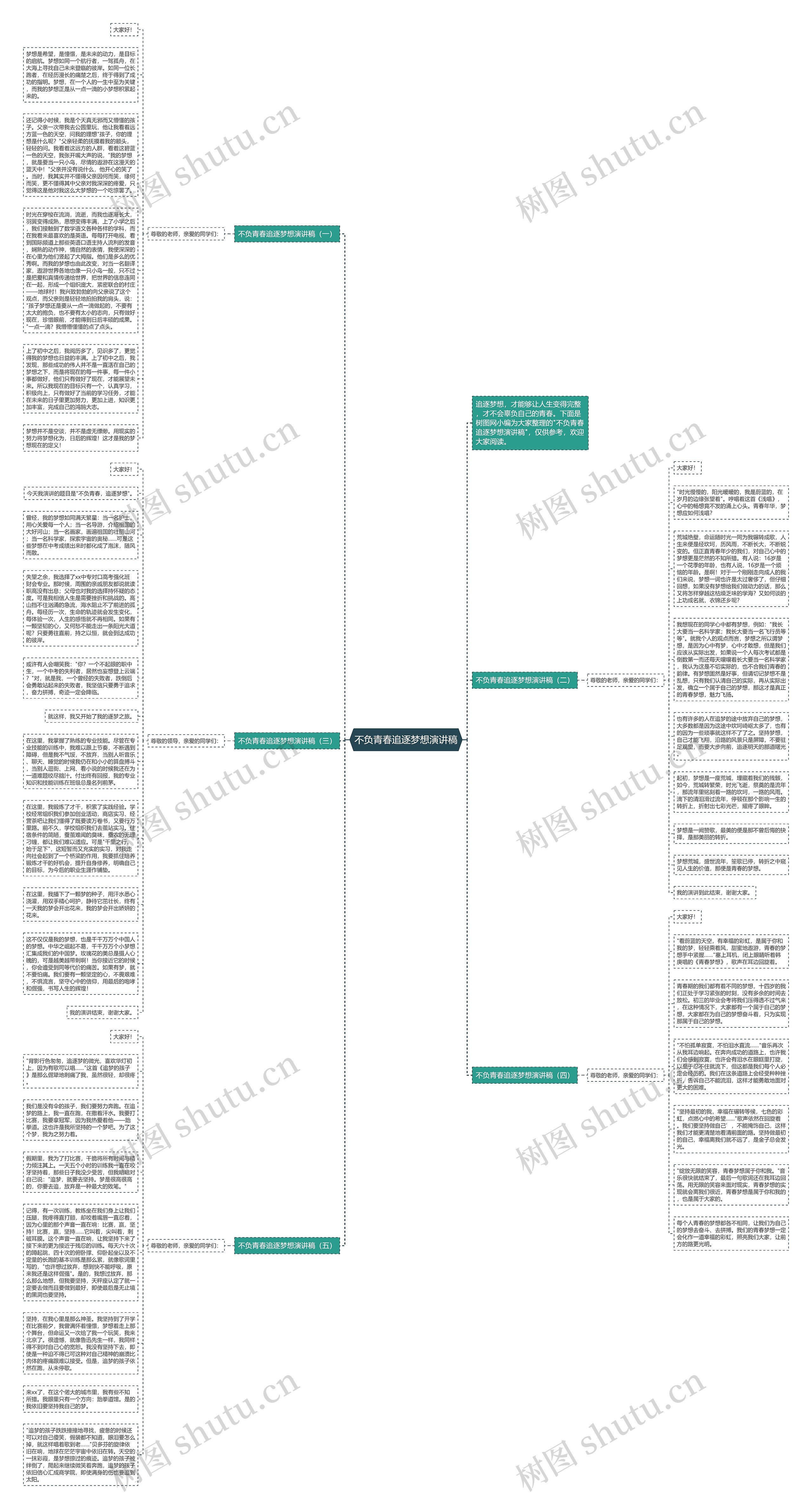 不负青春追逐梦想演讲稿思维导图