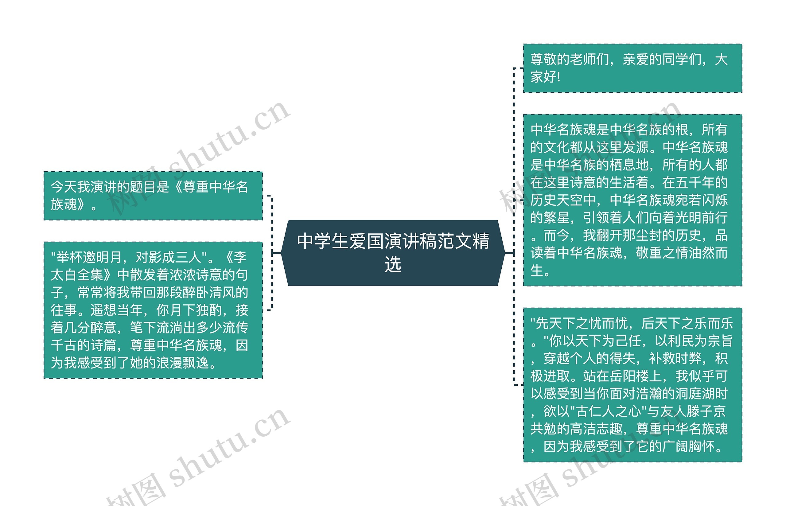 中学生爱国演讲稿范文精选