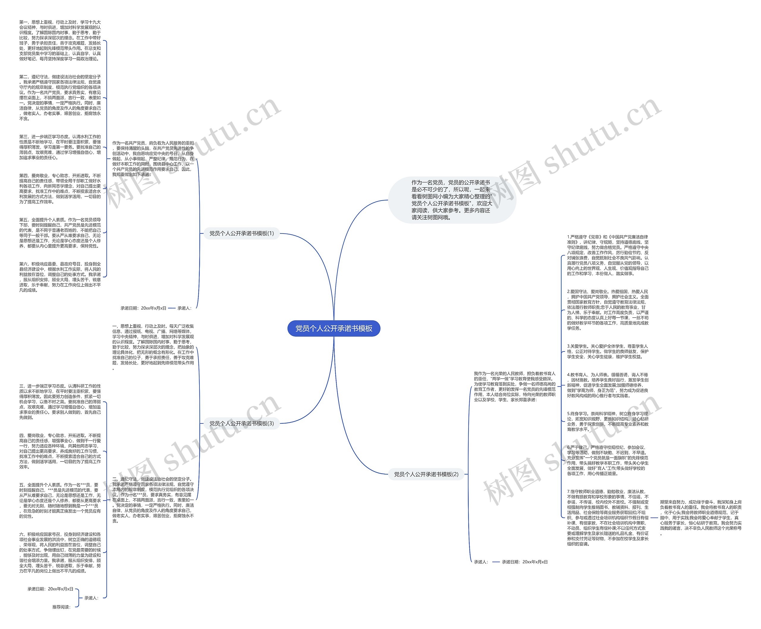 党员个人公开承诺书思维导图