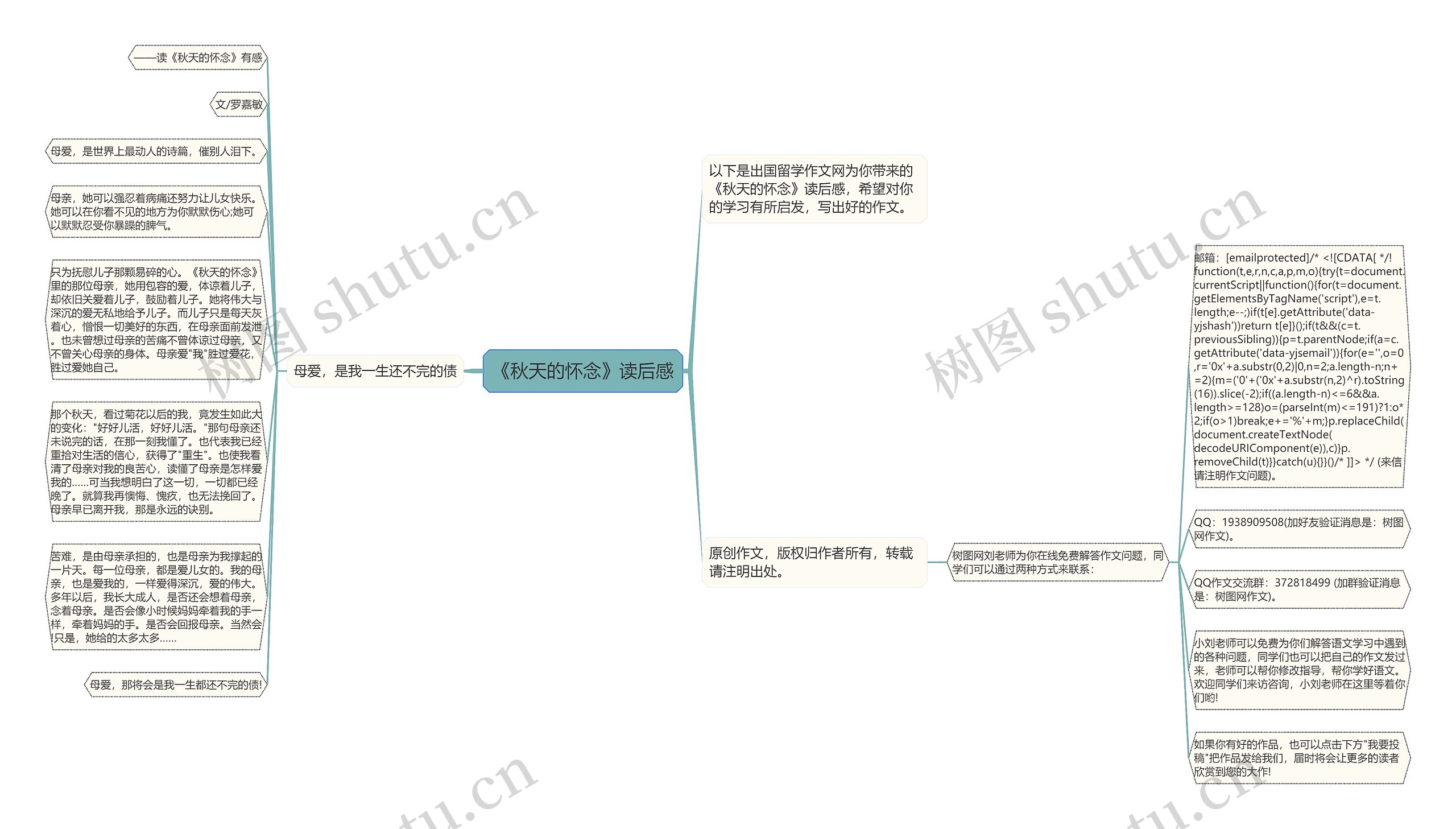 《秋天的怀念》读后感思维导图