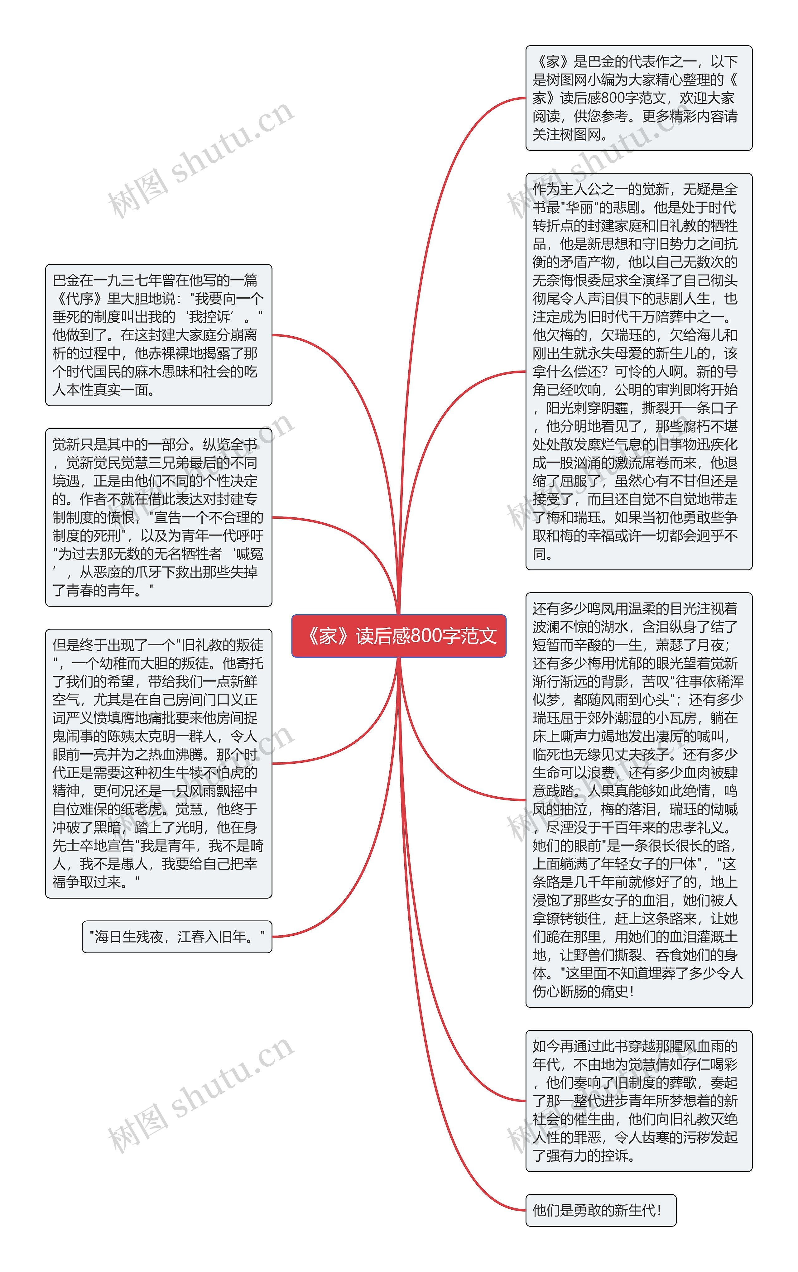 《家》读后感800字范文