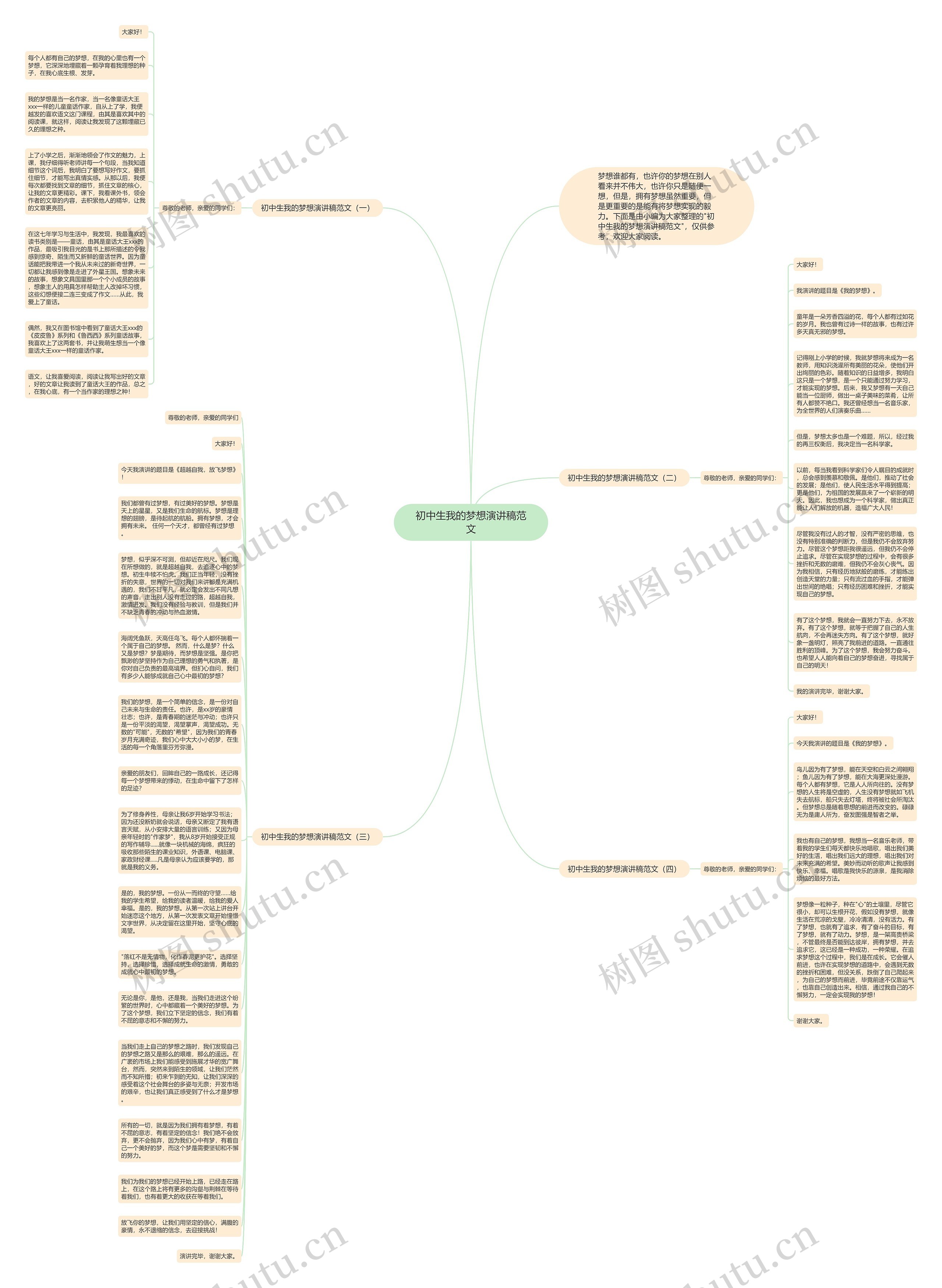 初中生我的梦想演讲稿范文思维导图