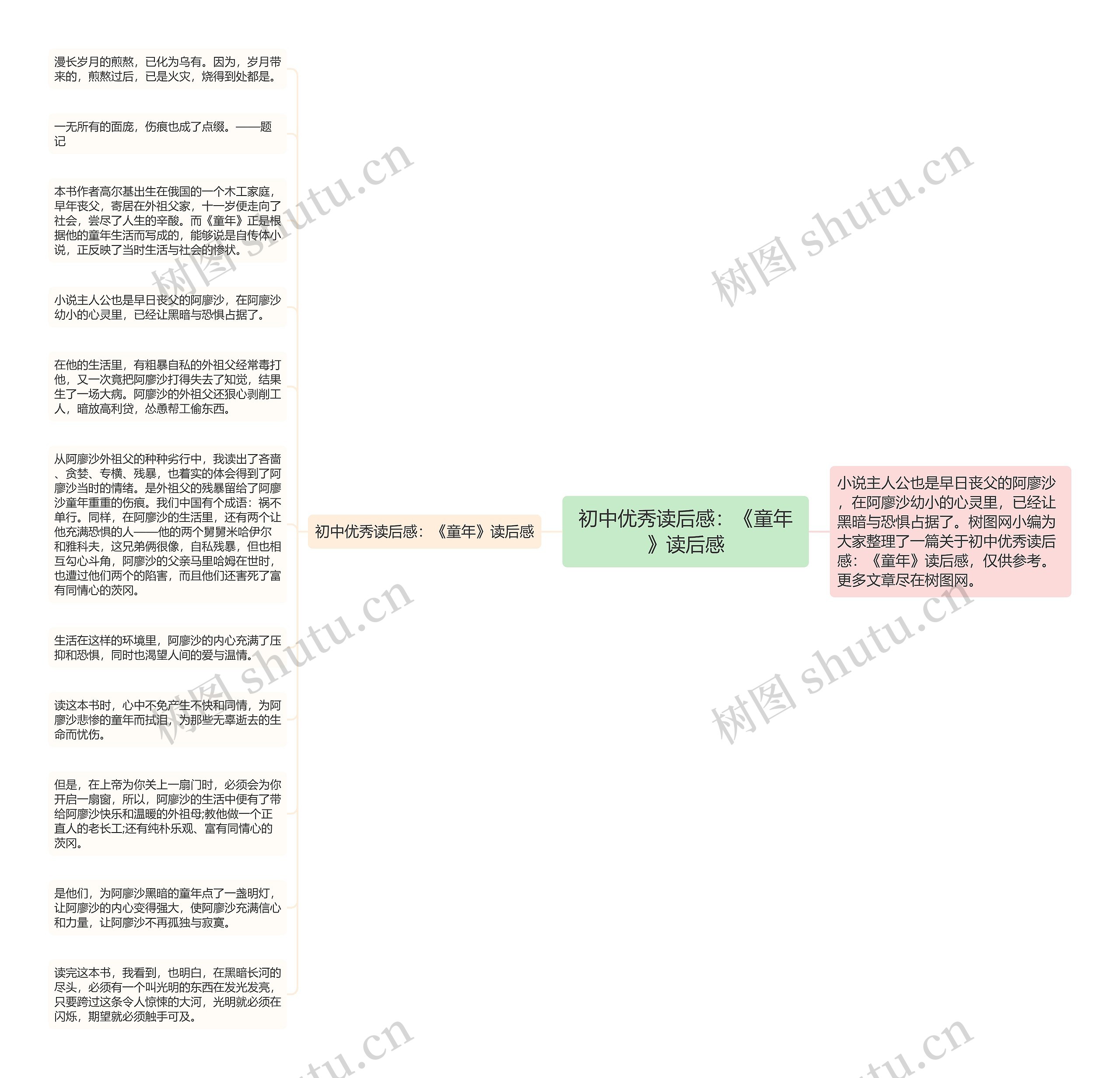 初中优秀读后感：《童年》读后感