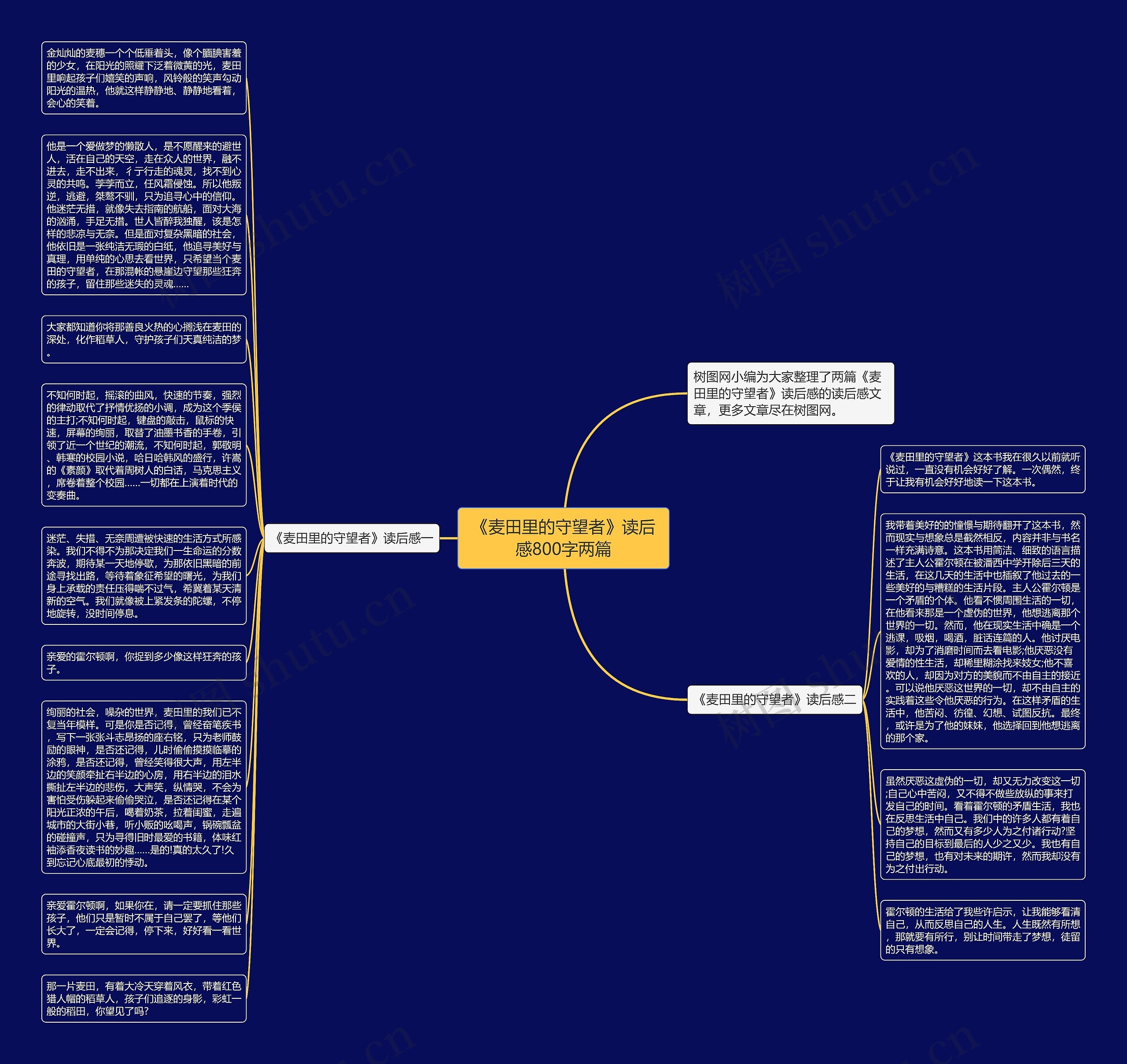 《麦田里的守望者》读后感800字两篇思维导图
