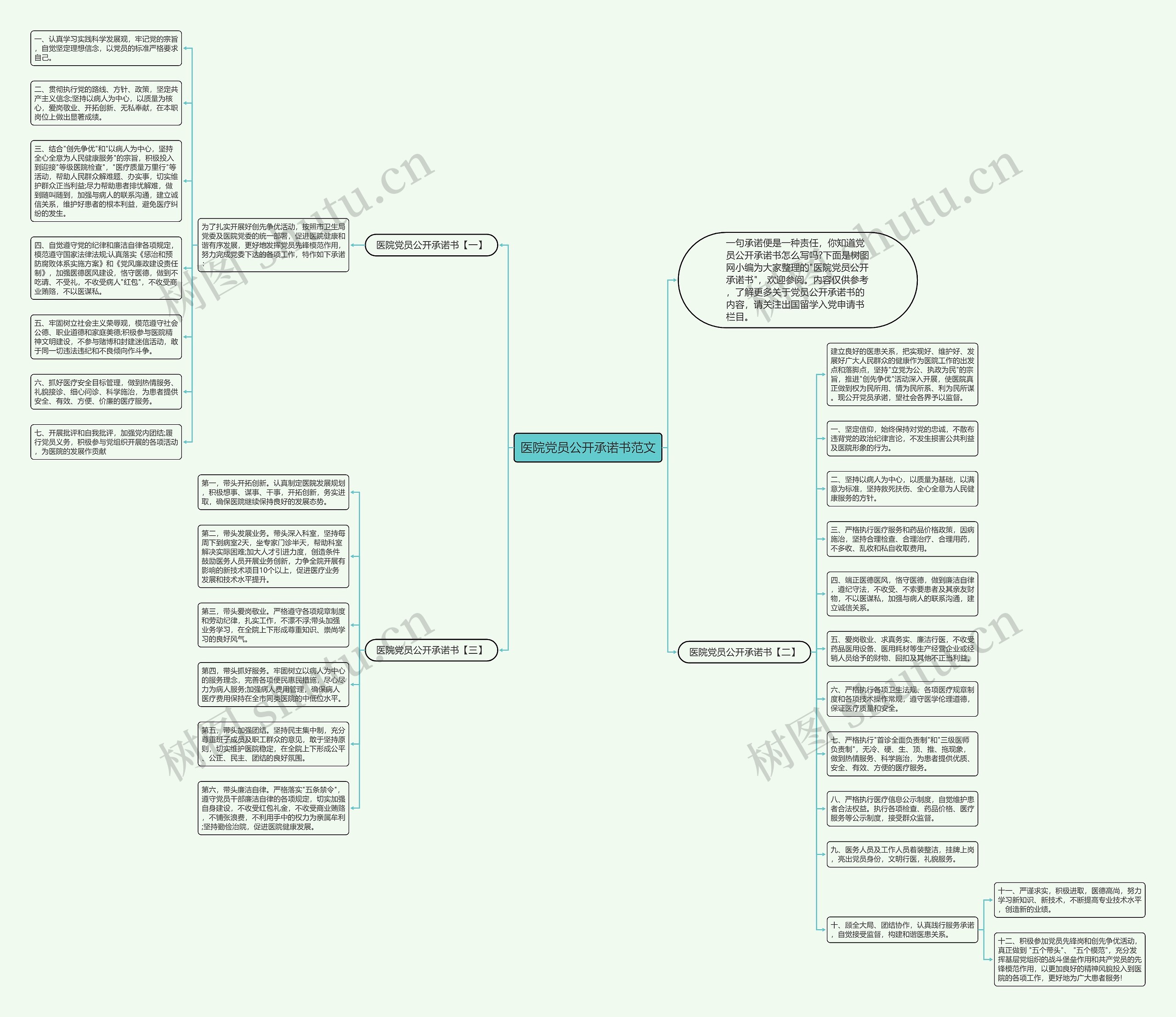 医院党员公开承诺书范文思维导图