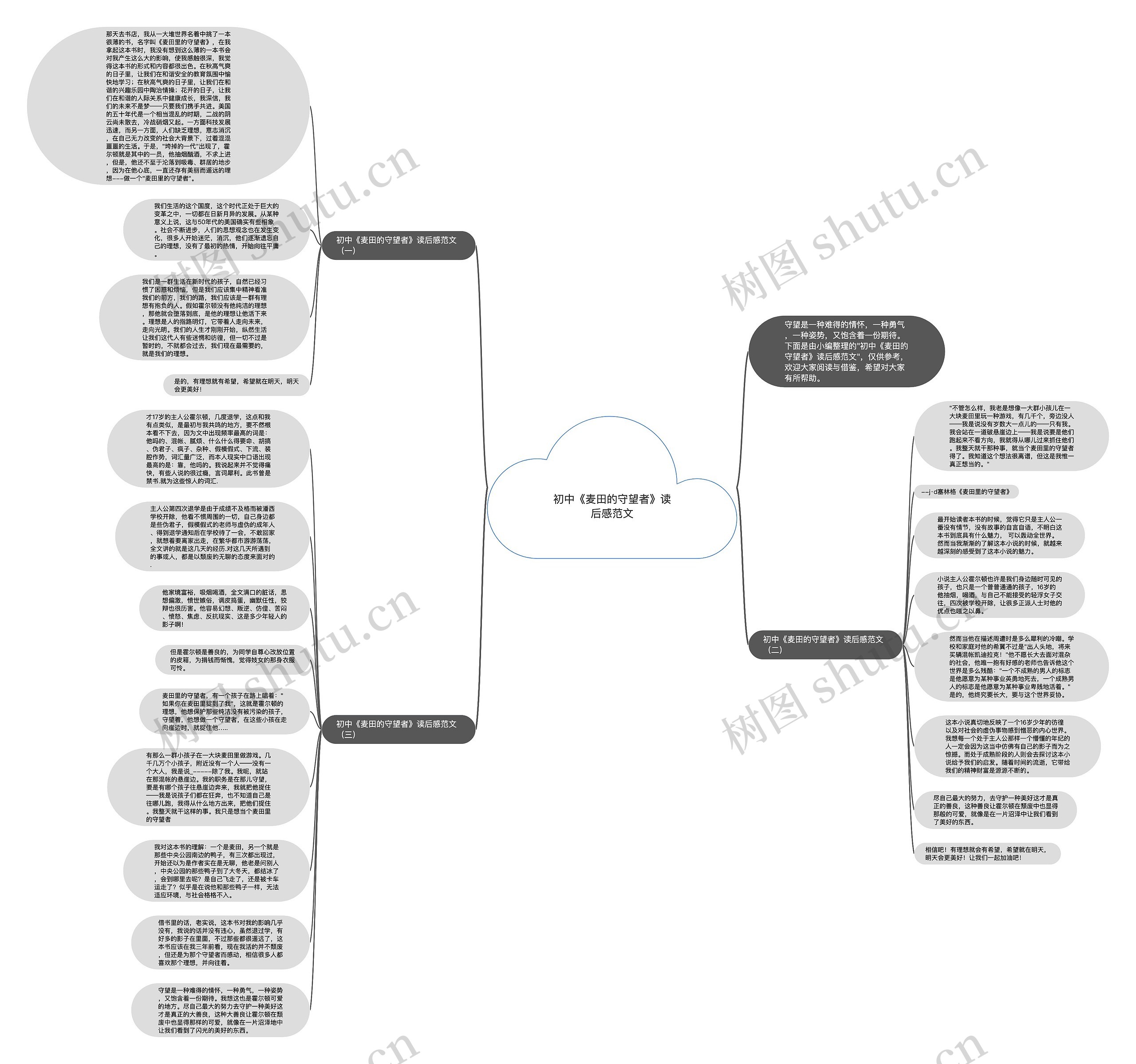初中《麦田的守望者》读后感范文思维导图