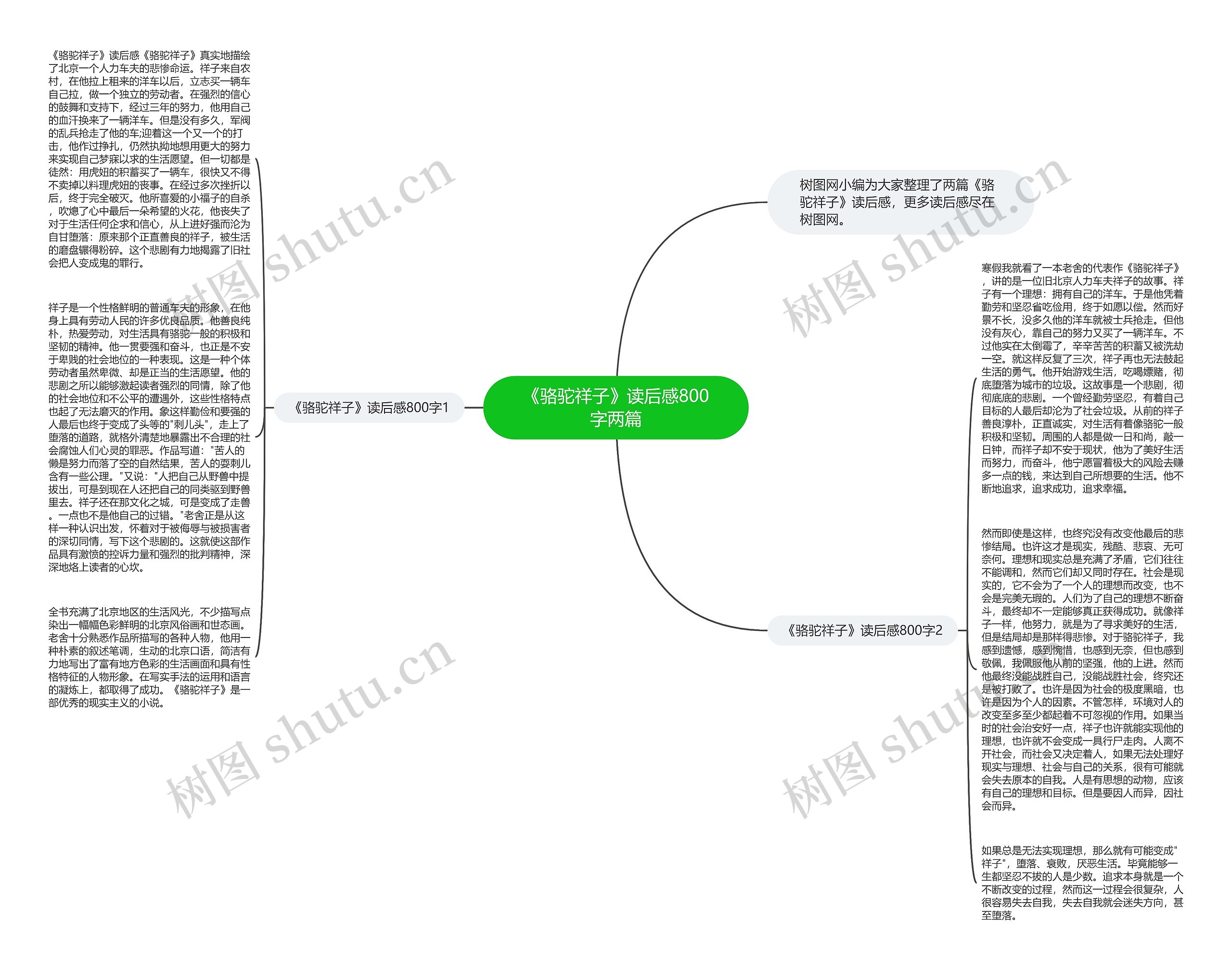 《骆驼祥子》读后感800字两篇思维导图