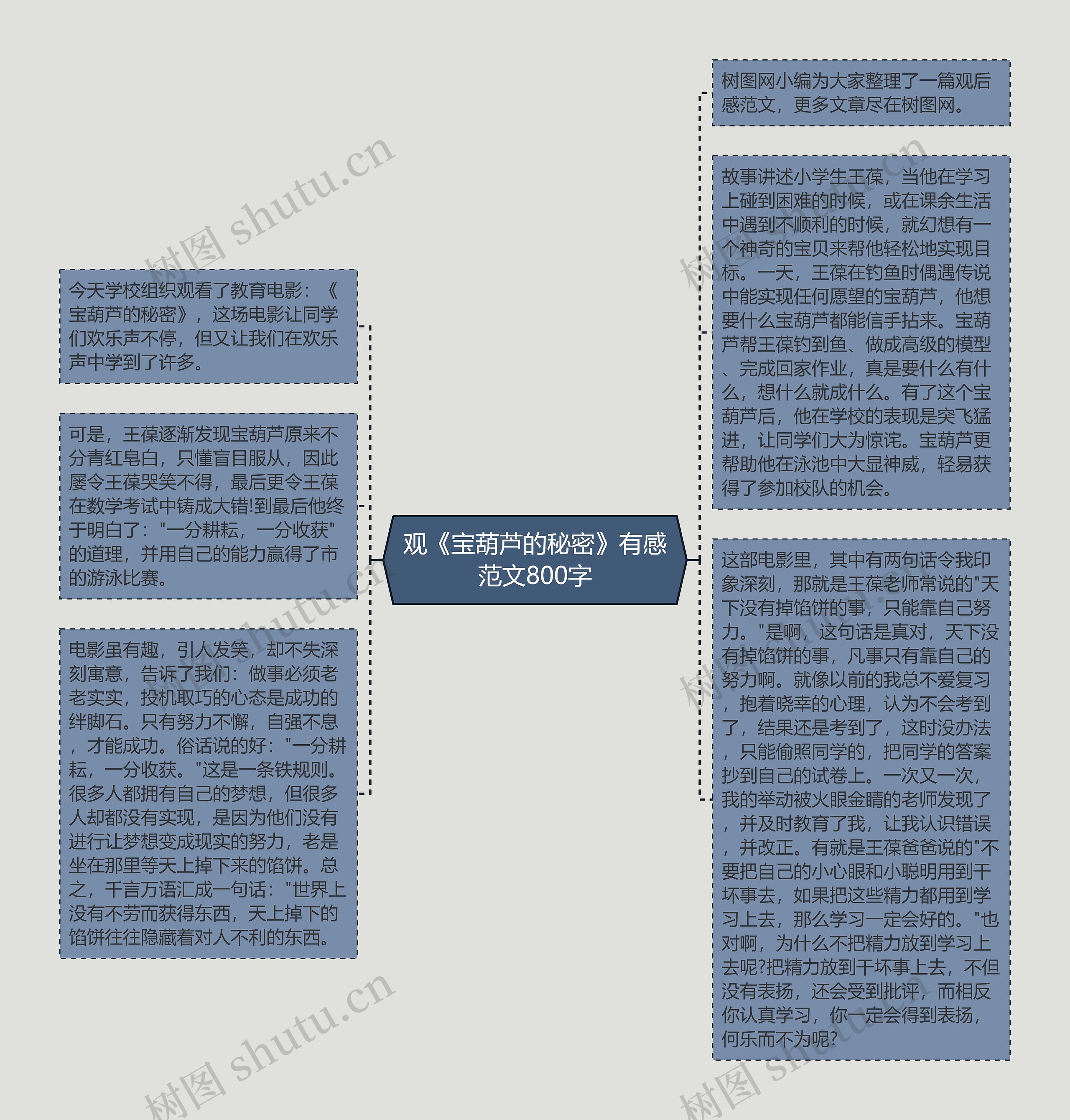 观《宝葫芦的秘密》有感范文800字