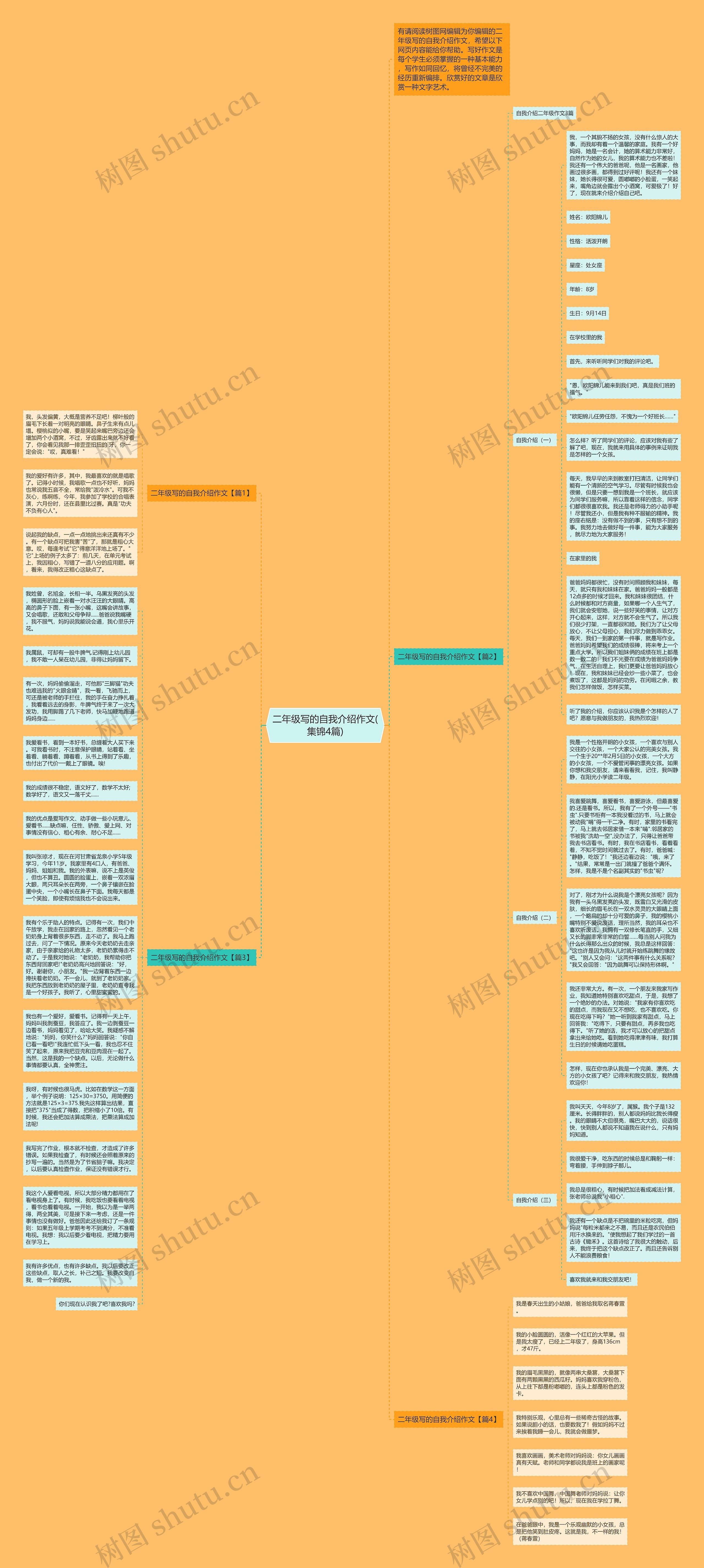 二年级写的自我介绍作文(集锦4篇)思维导图