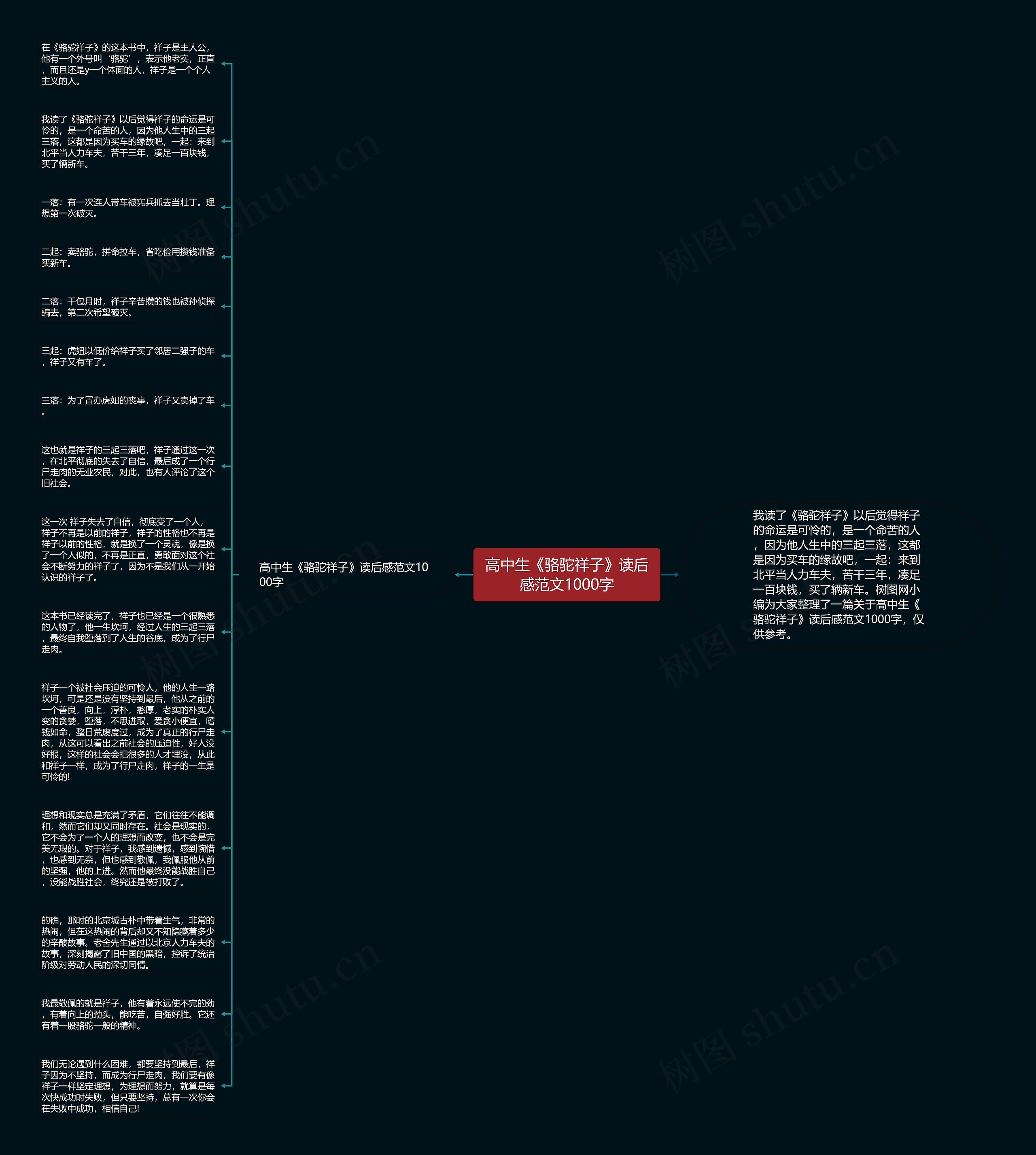 高中生《骆驼祥子》读后感范文1000字思维导图