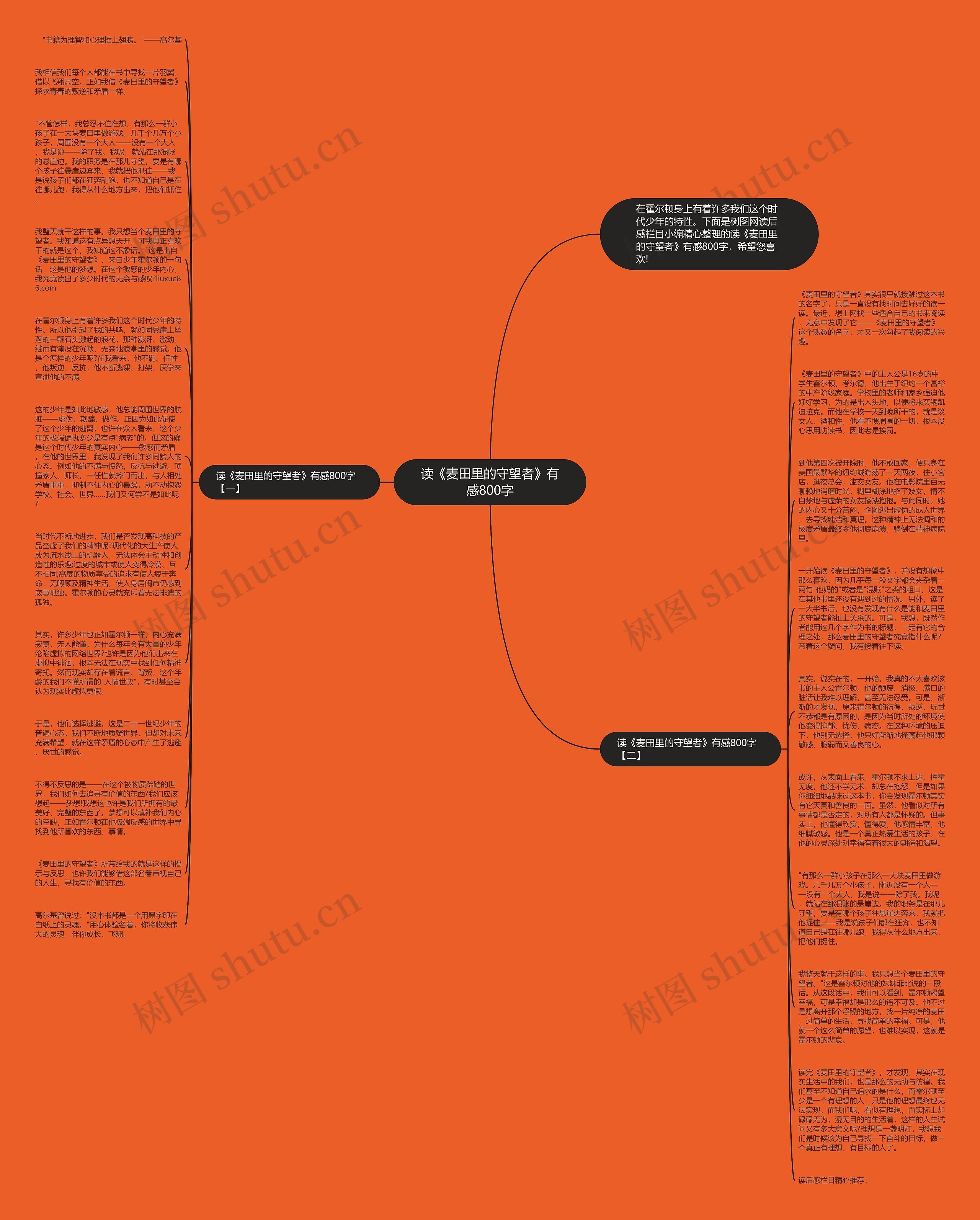 读《麦田里的守望者》有感800字思维导图