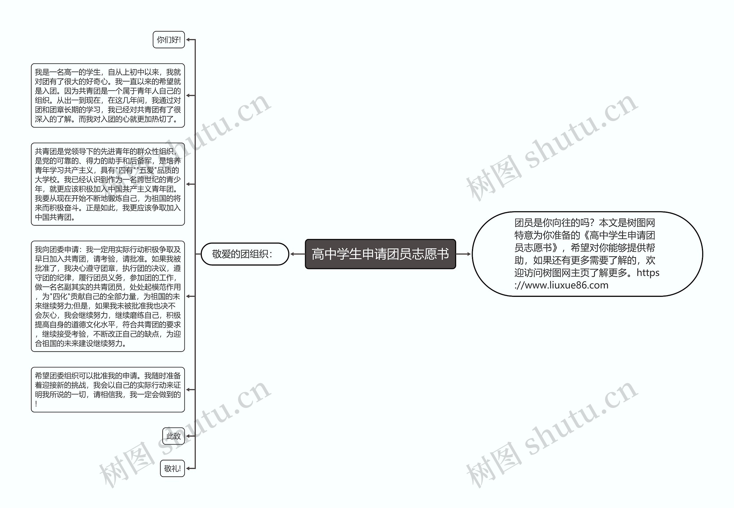 高中学生申请团员志愿书