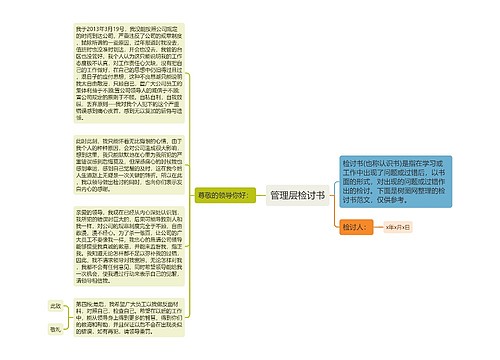 管理层检讨书