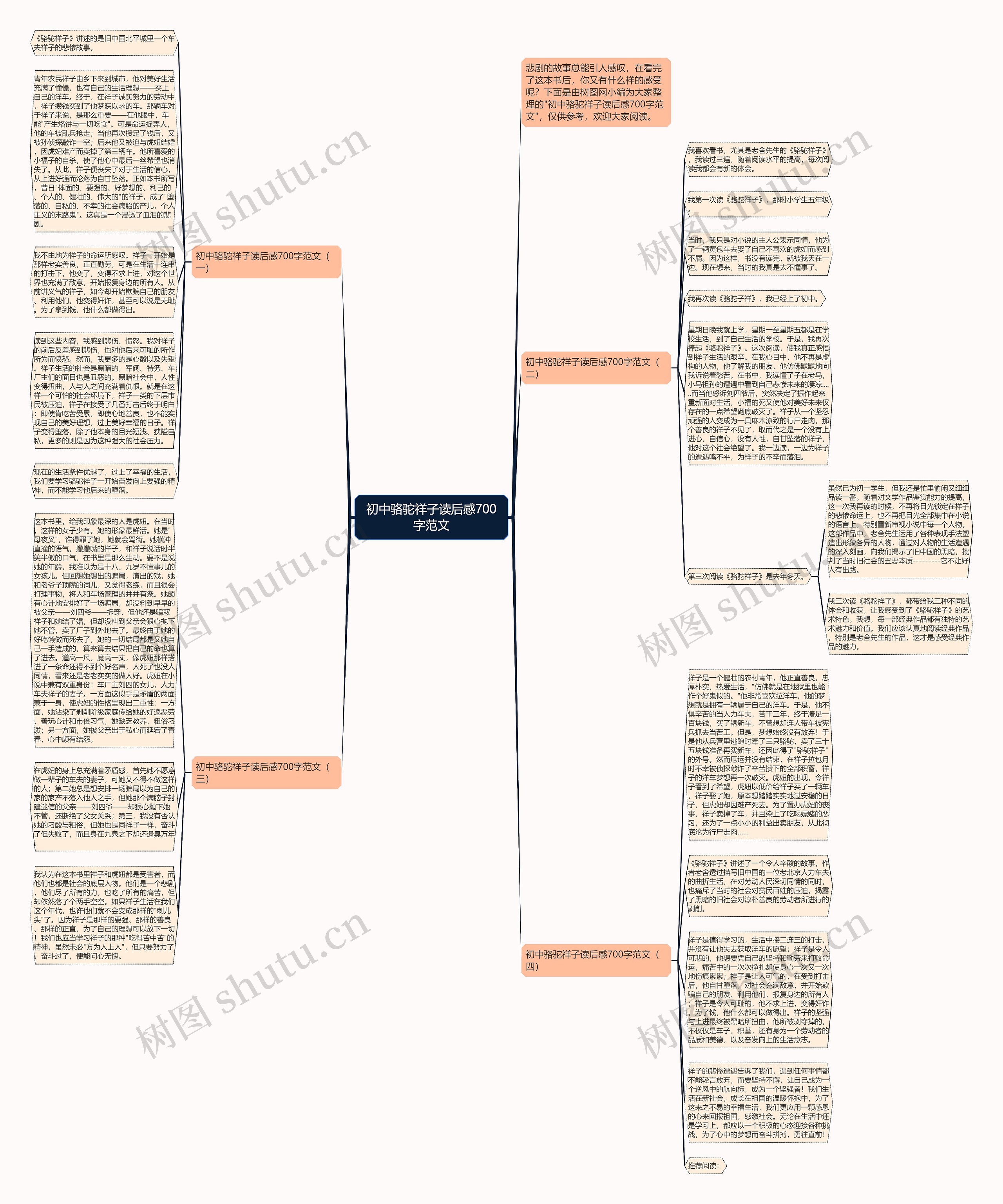 初中骆驼祥子读后感700字范文思维导图