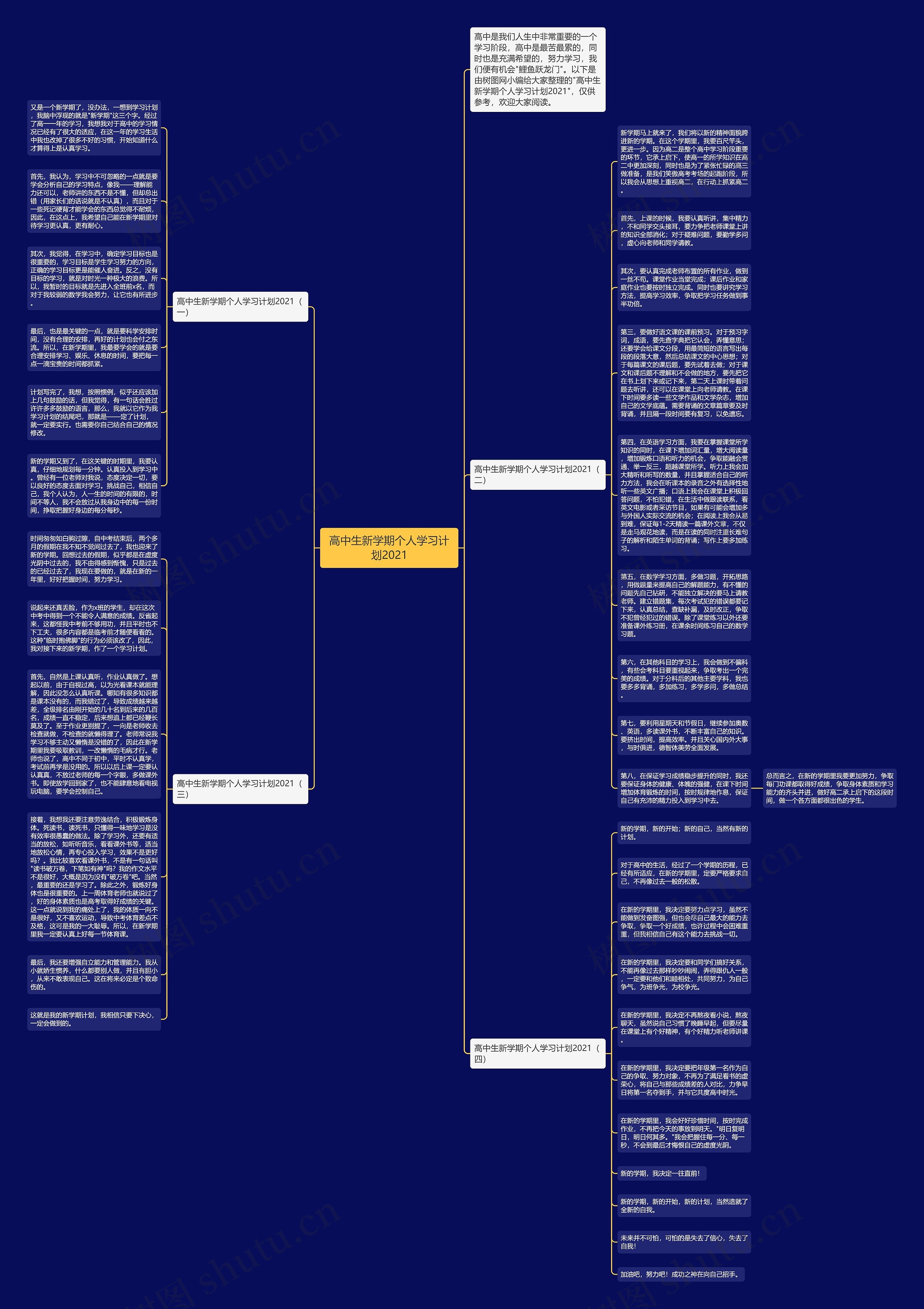 高中生新学期个人学习计划2021思维导图