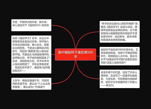 高中骆驼祥子读后感500字