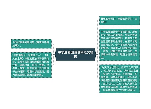 中学生爱国演讲稿范文精选