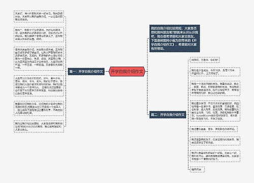 开学自我介绍作文