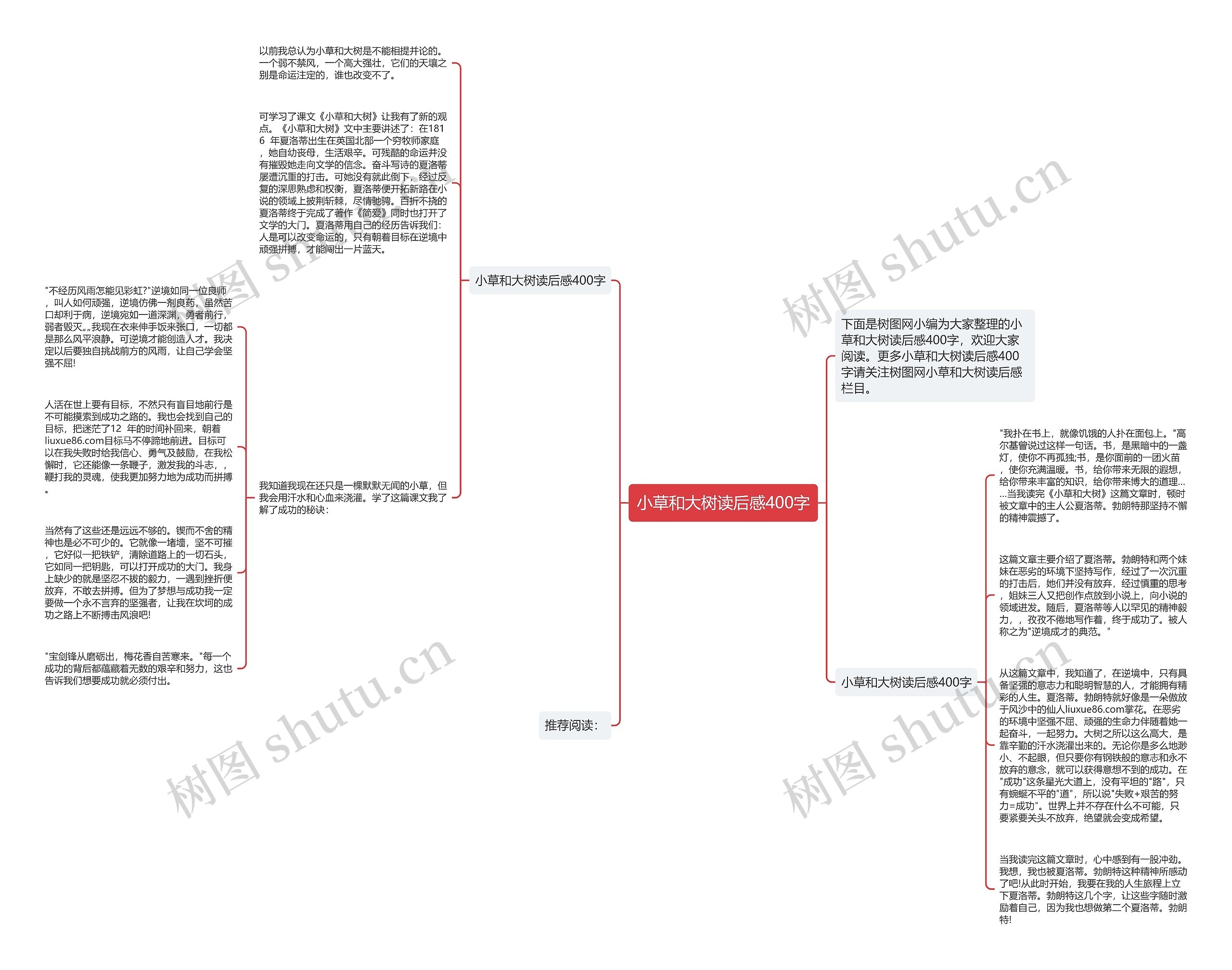 小草和大树读后感400字思维导图