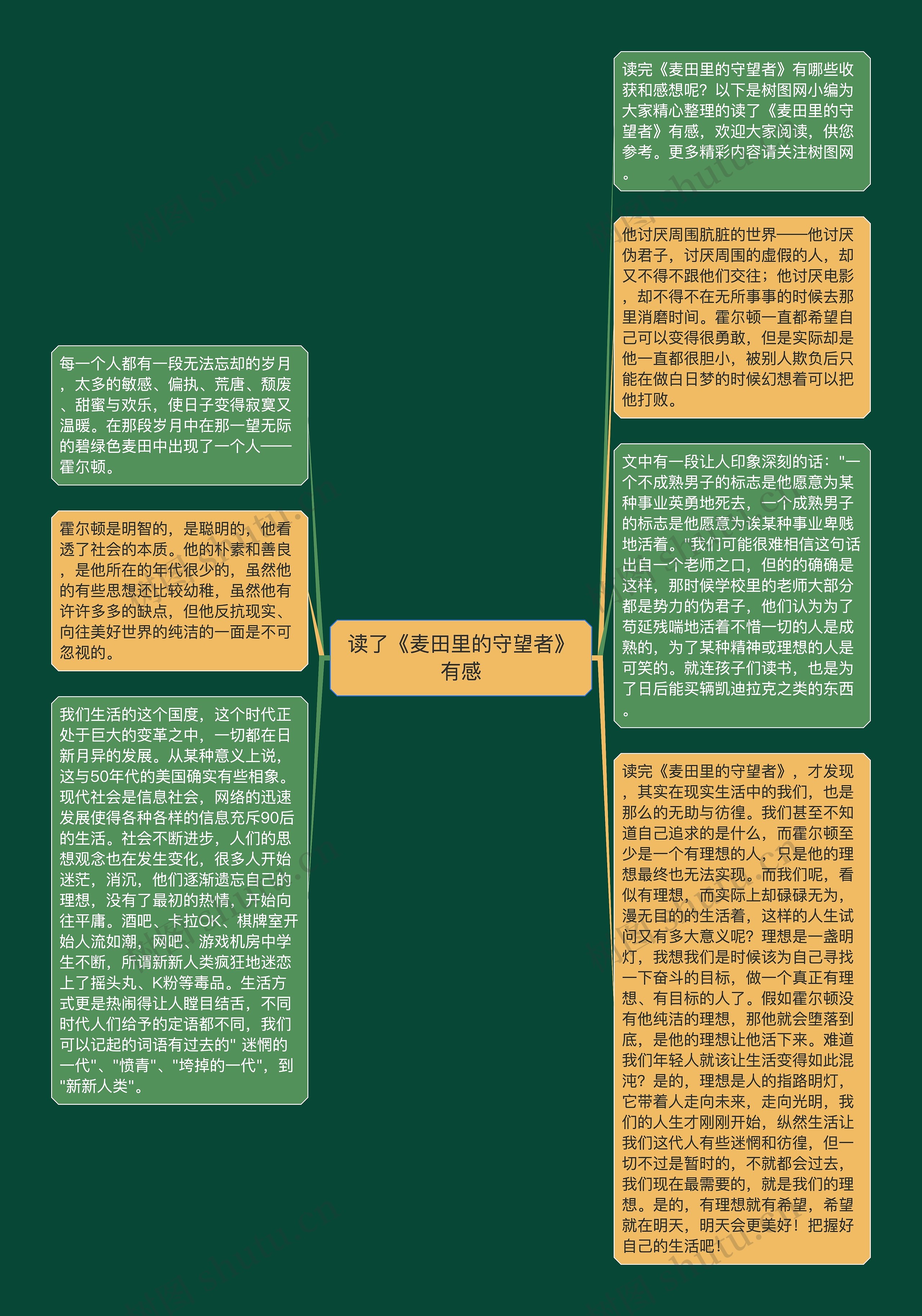 读了《麦田里的守望者》有感