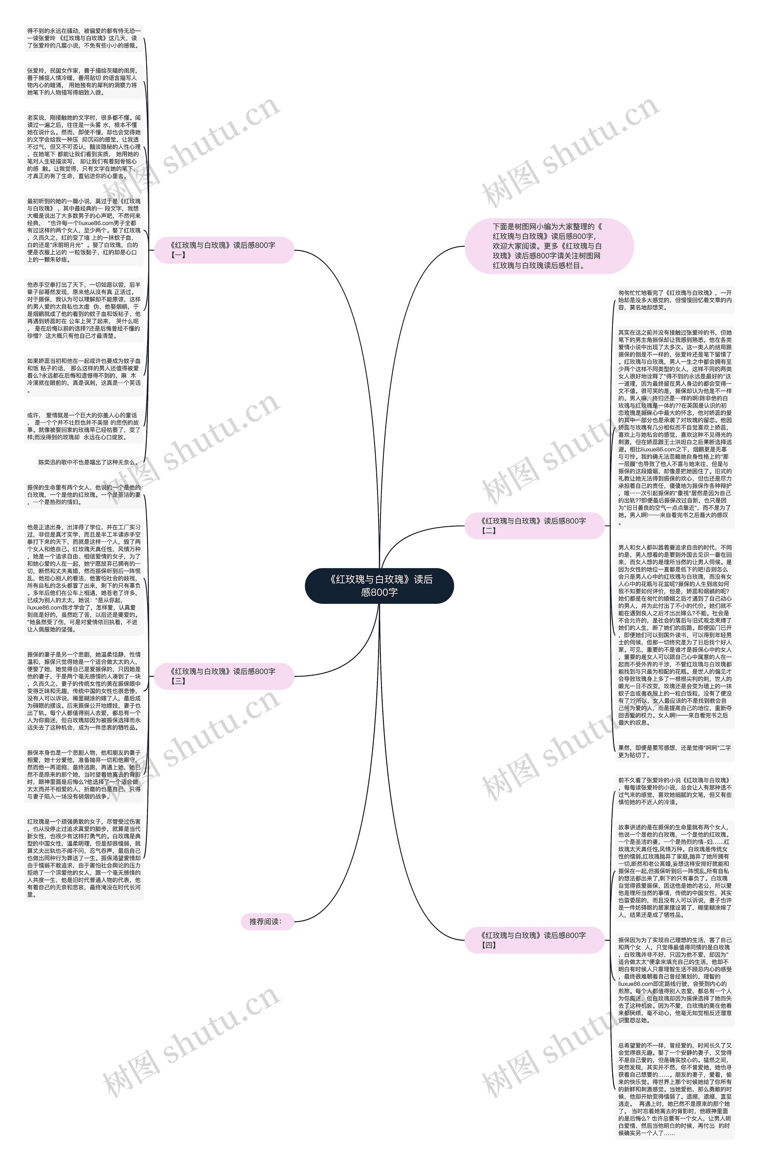 《红玫瑰与白玫瑰》读后感800字思维导图