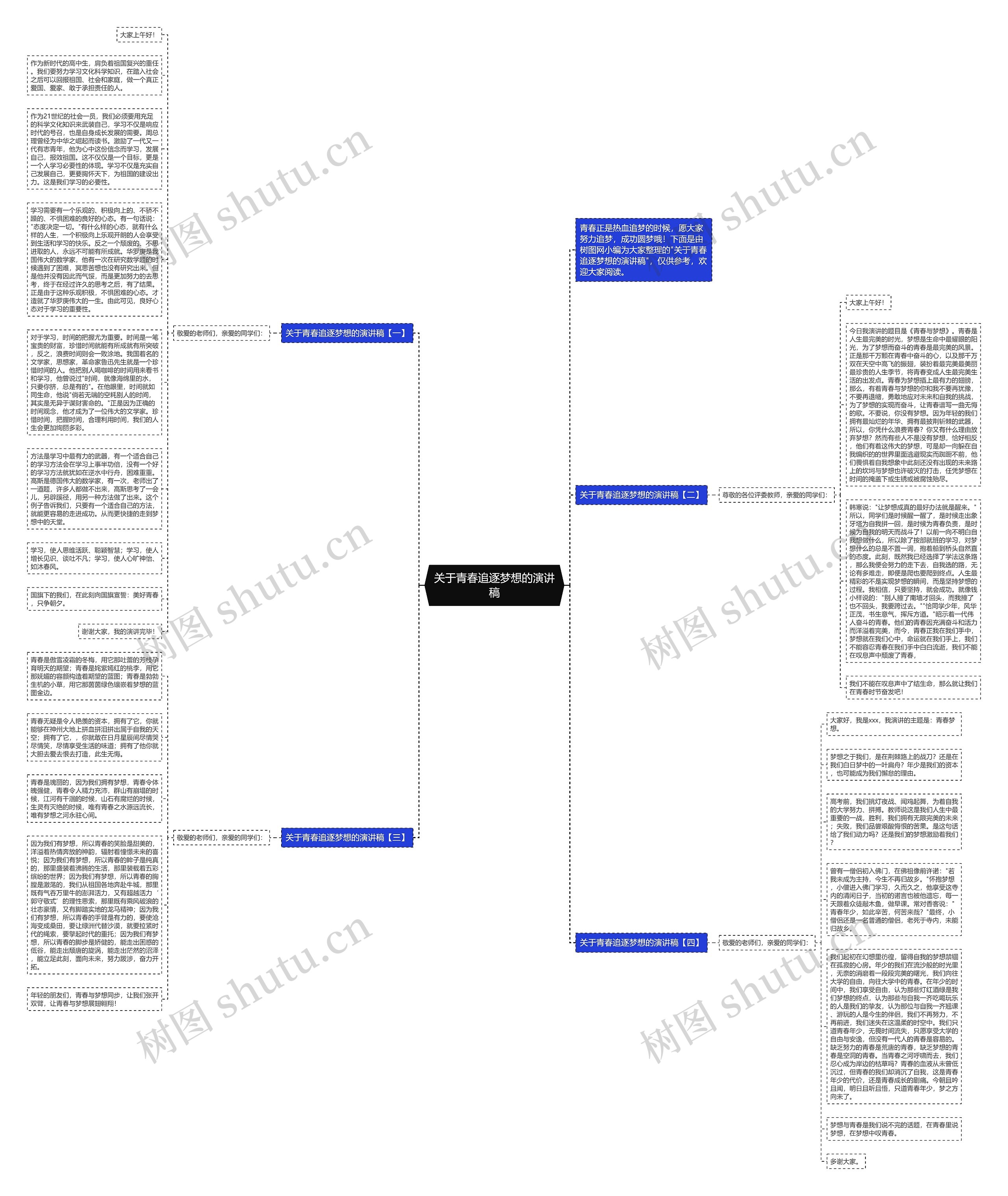 关于青春追逐梦想的演讲稿思维导图
