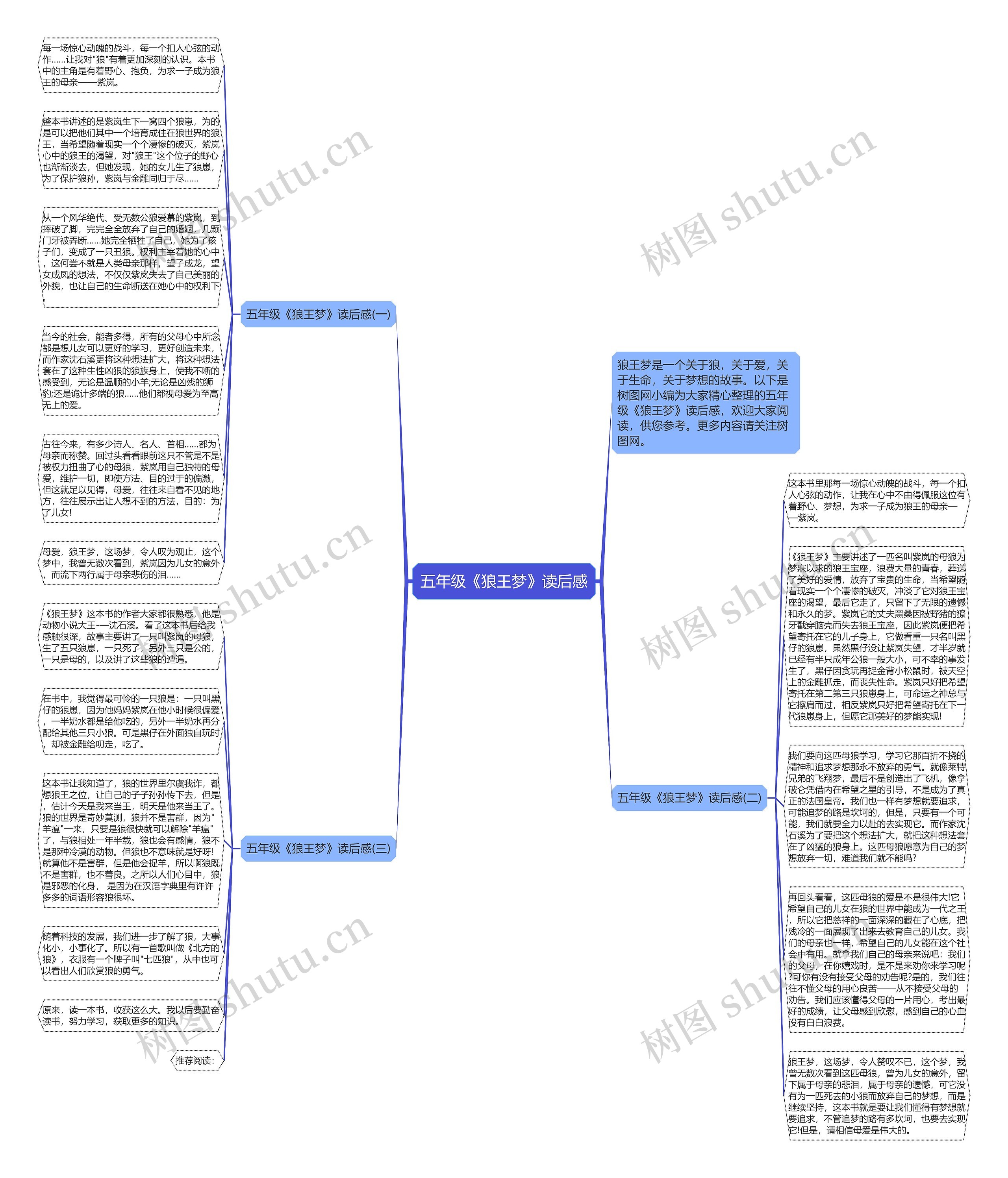 五年级《狼王梦》读后感思维导图