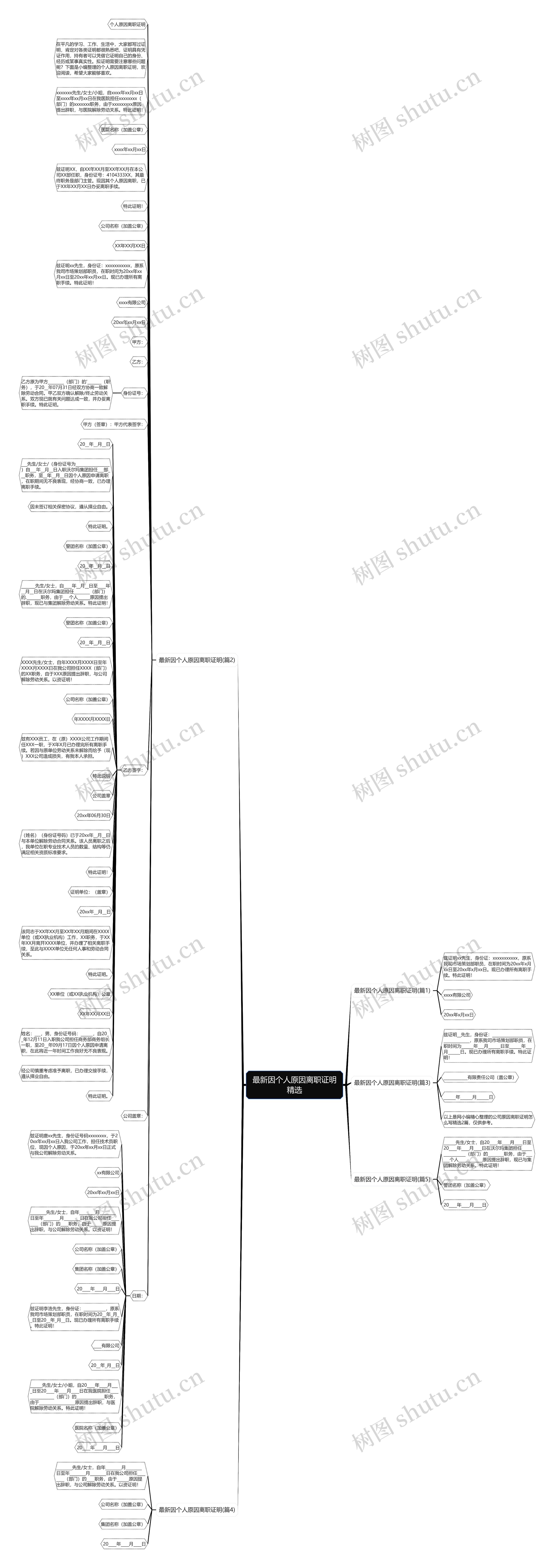 最新因个人原因离职证明精选思维导图