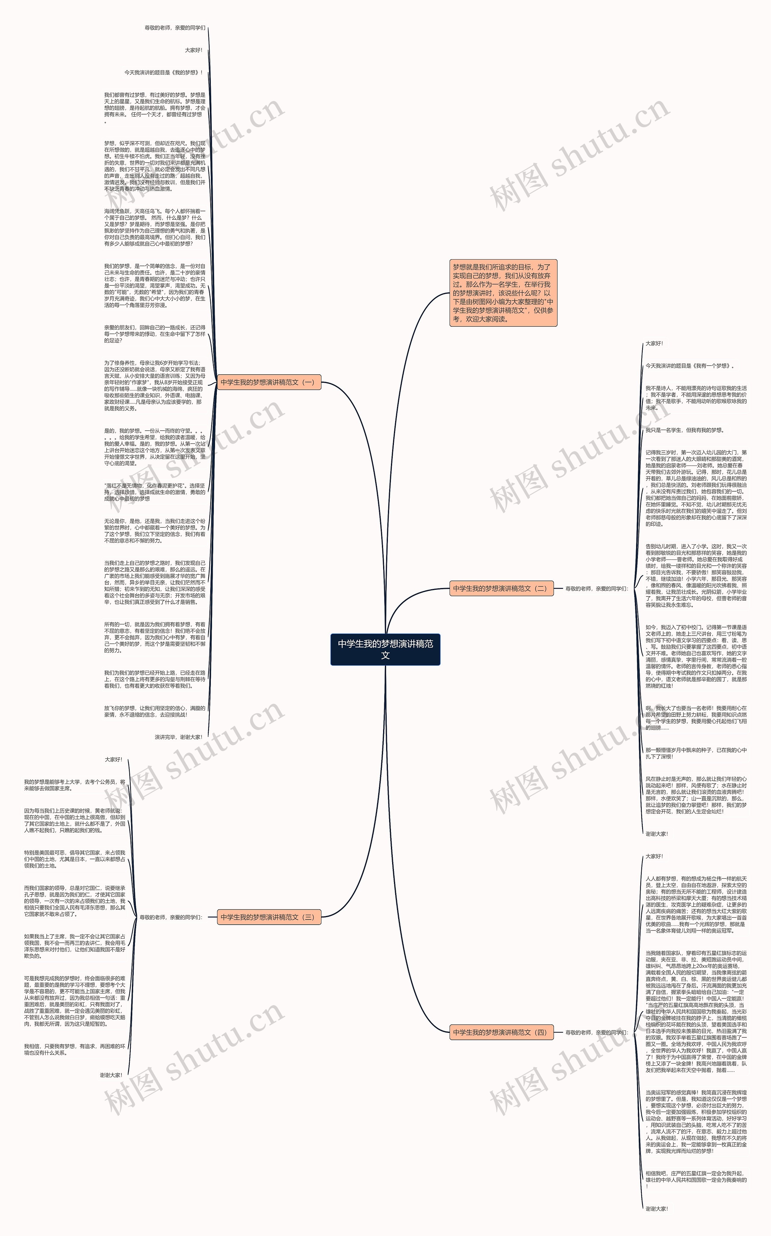 中学生我的梦想演讲稿范文思维导图