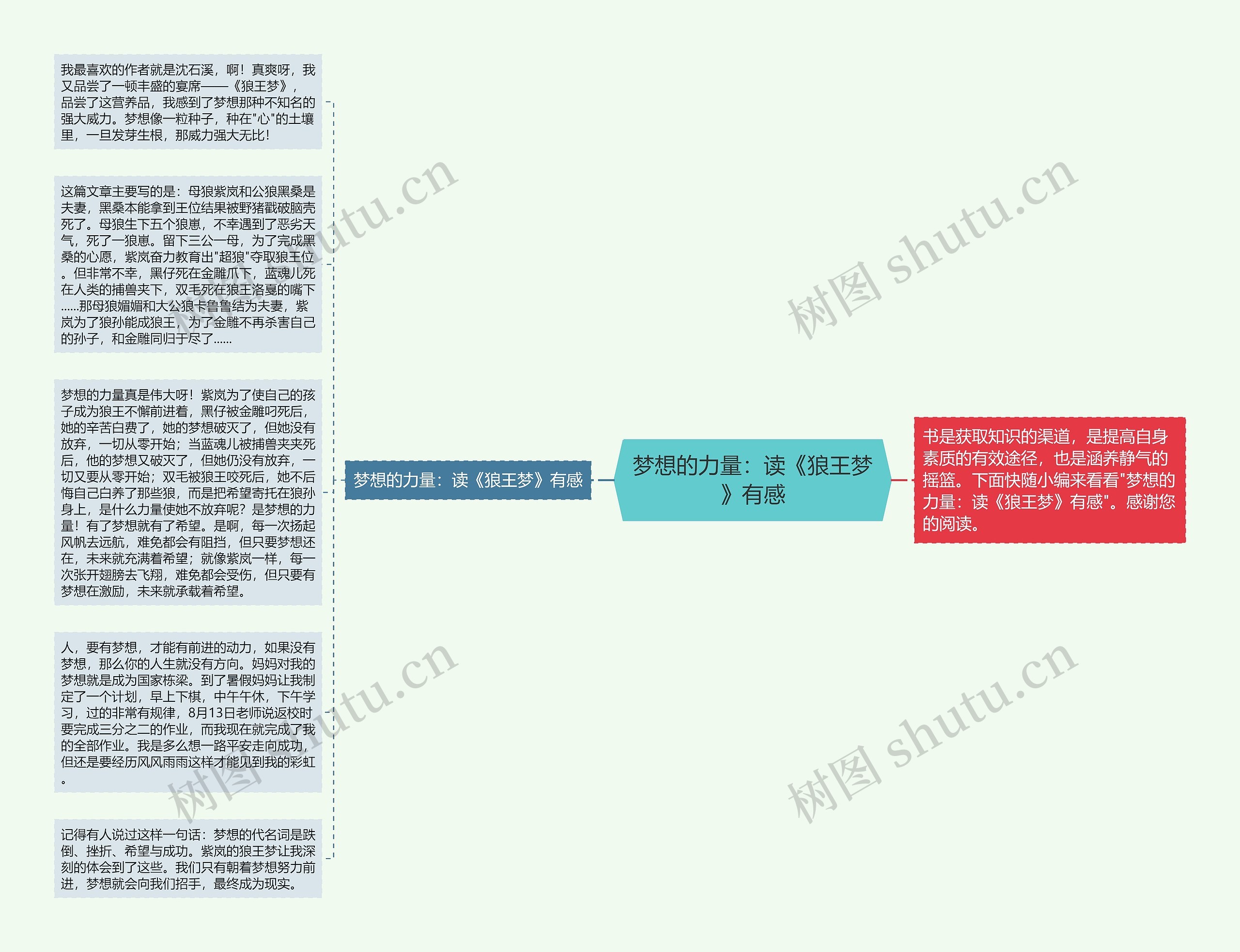 梦想的力量：读《狼王梦》有感思维导图