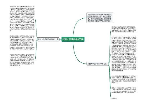 我的大学读后感600字