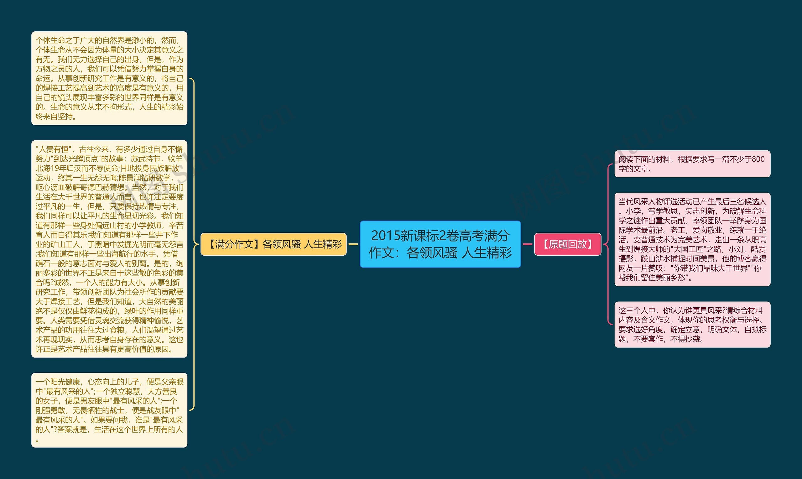 2015新课标2卷高考满分作文：各领风骚 人生精彩思维导图