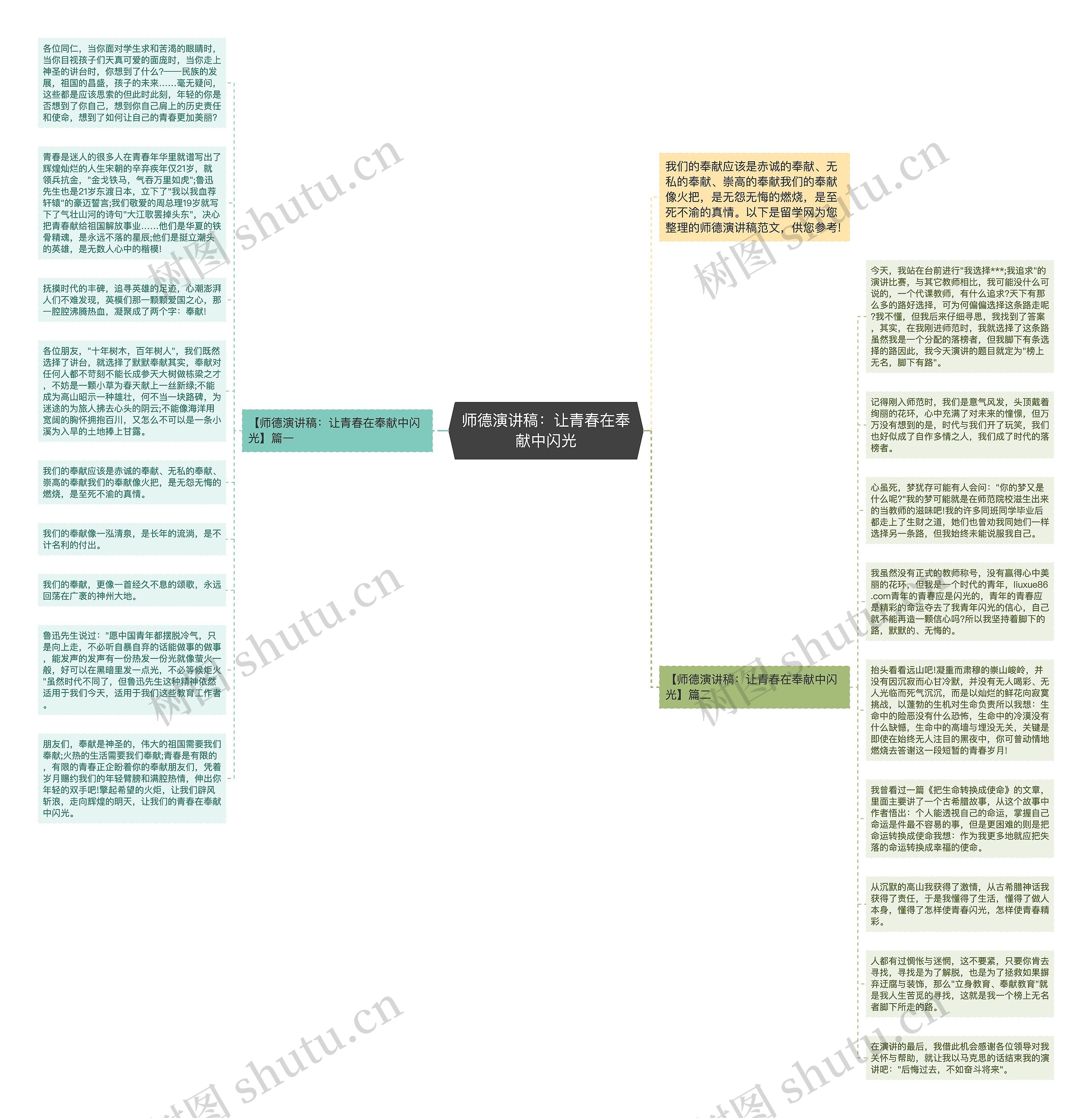 师德演讲稿：让青春在奉献中闪光思维导图