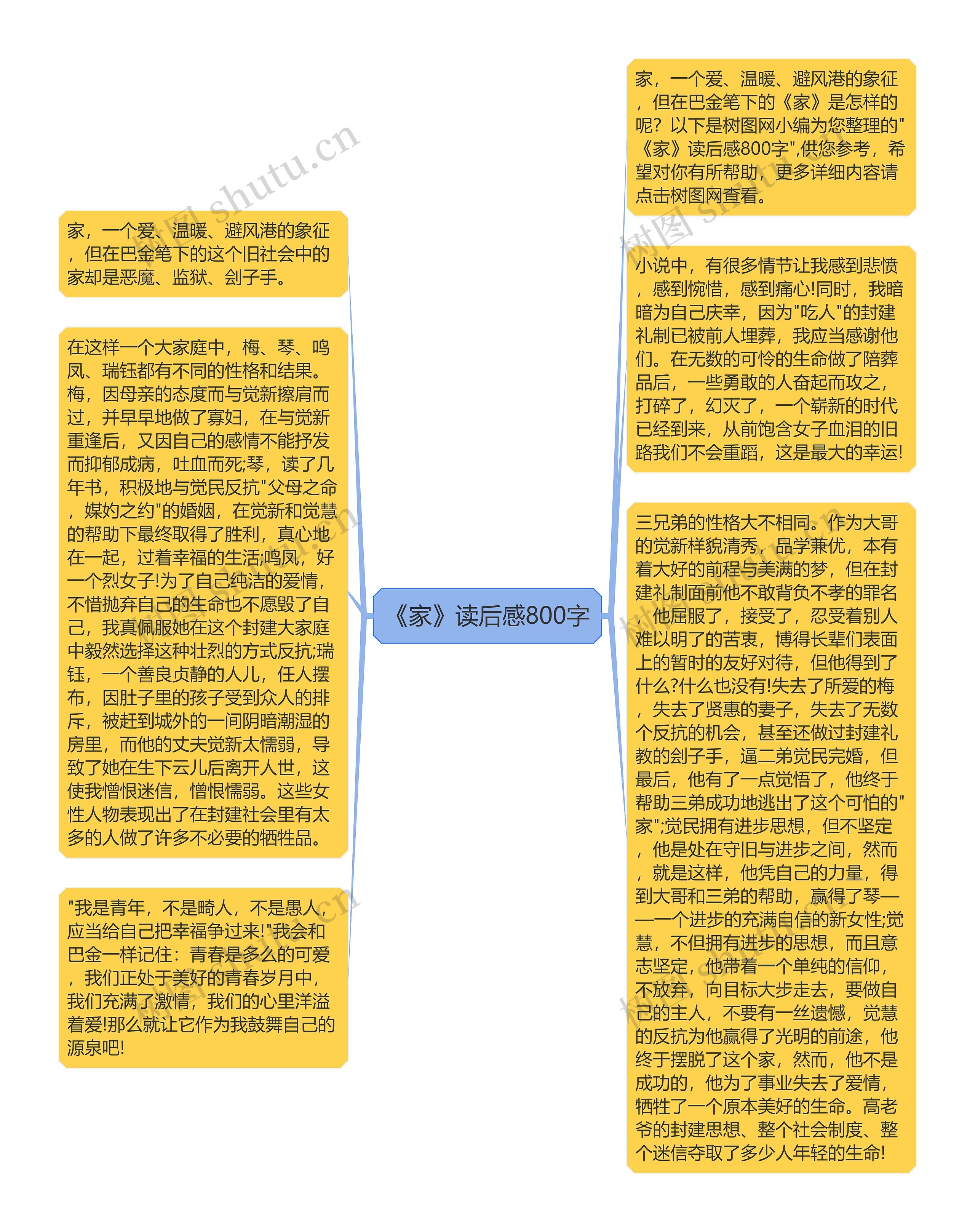《家》读后感800字