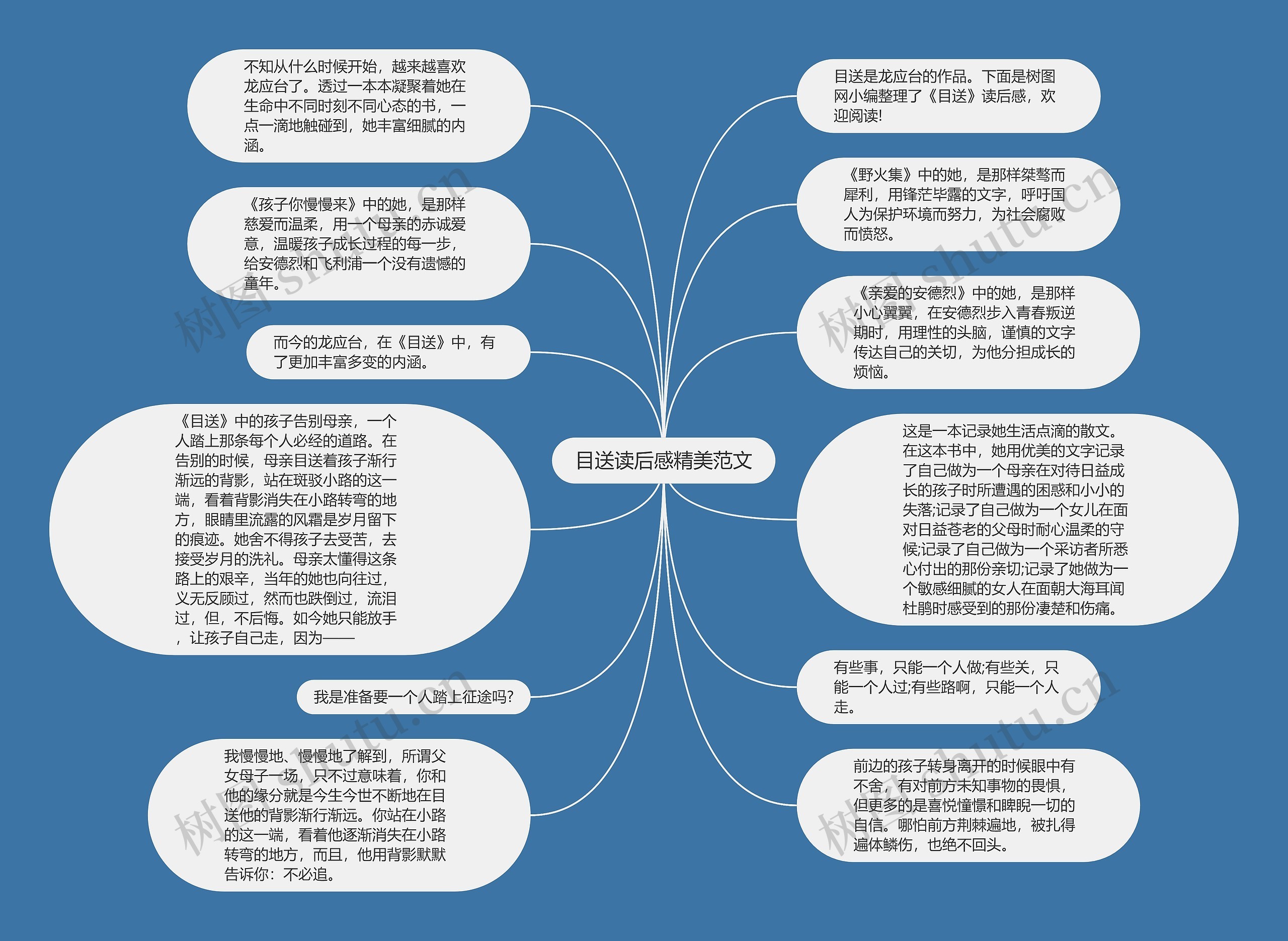 目送读后感精美范文